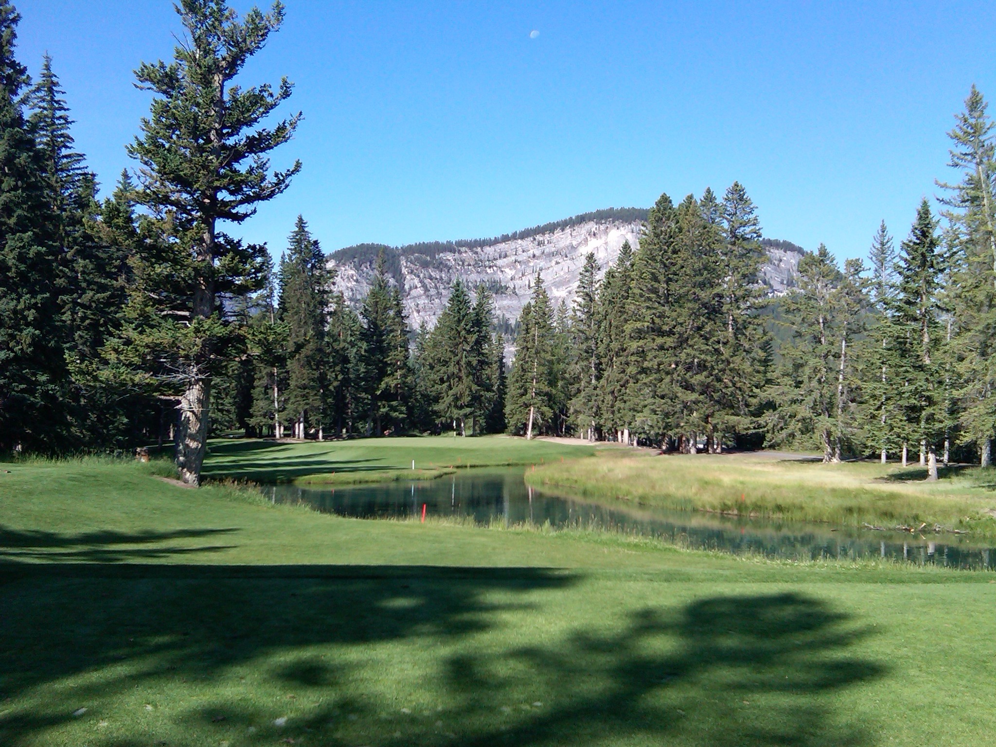 Two men greeting with hand