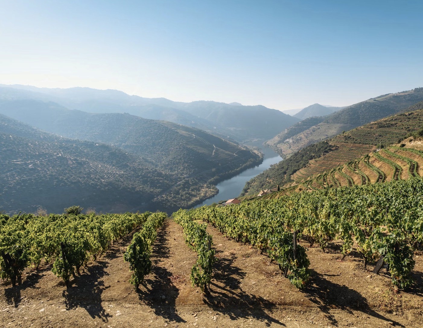 Douro Valley