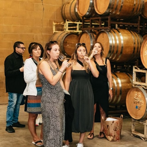 Tour de Vinos y Bosques de Día Completo