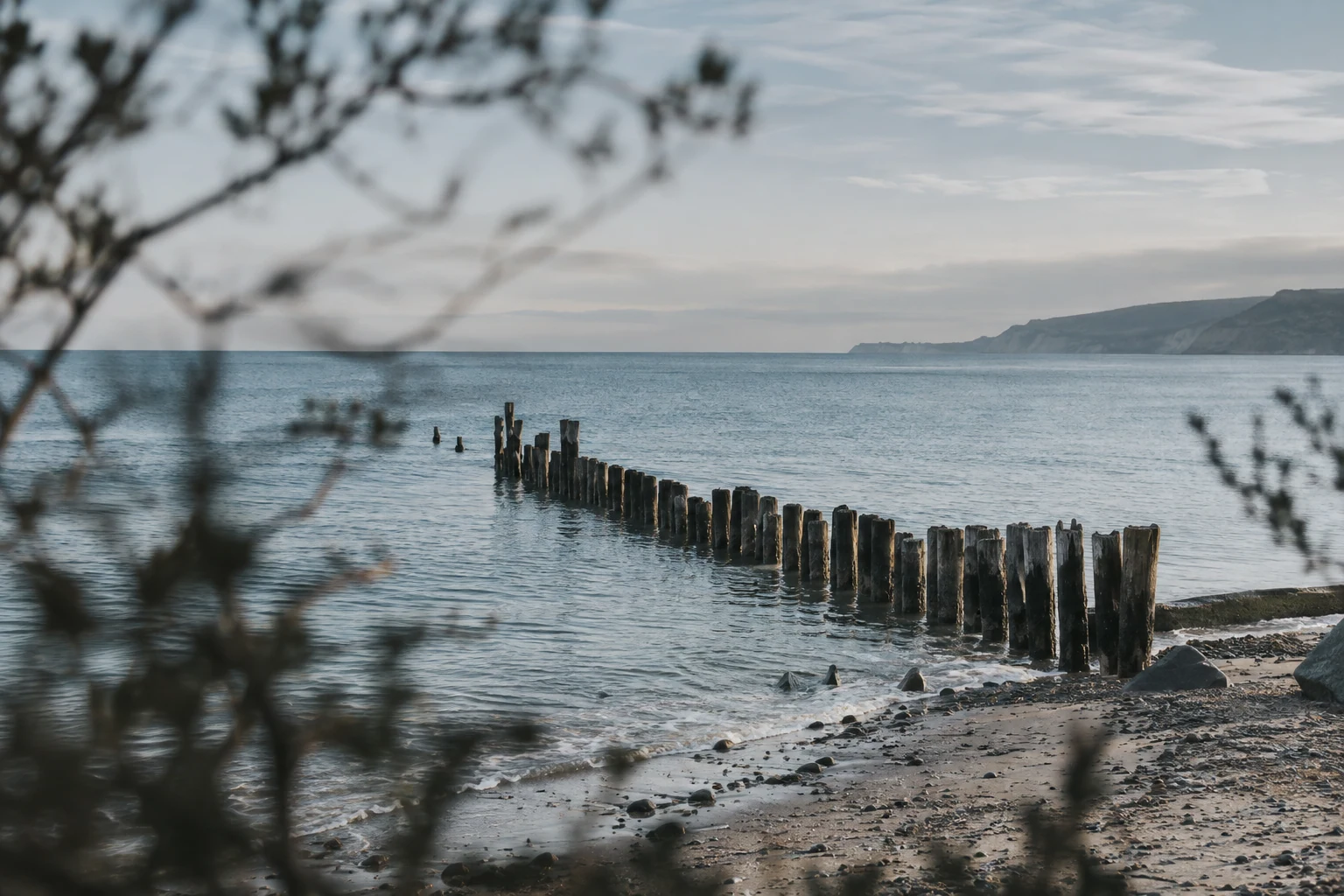 Muted blue coastal view through a few out-of-focus branches, weathered wooden groynes reaching into calm sea