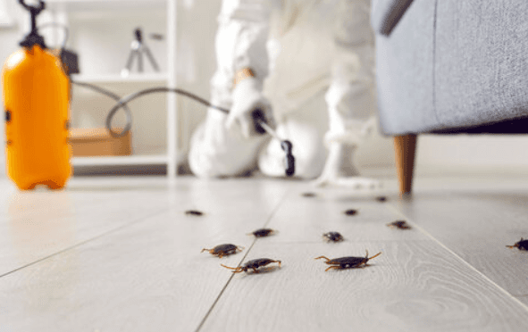 Smart Features Built for Pest Control Business