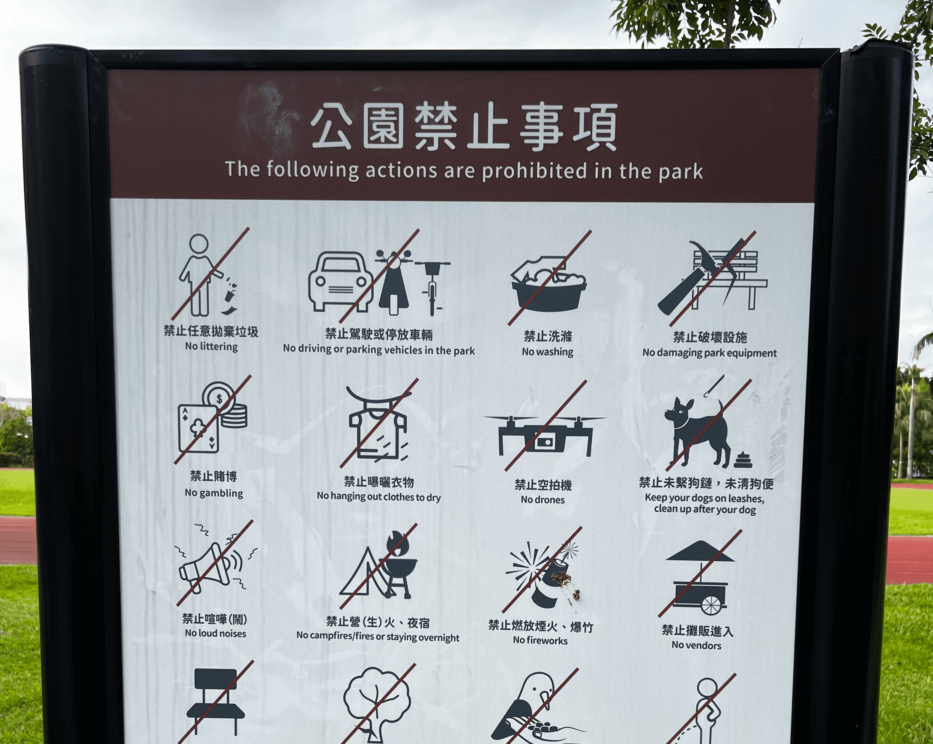 Close-up of lush, dark green leaves, some glossy and wet, against a muted background.