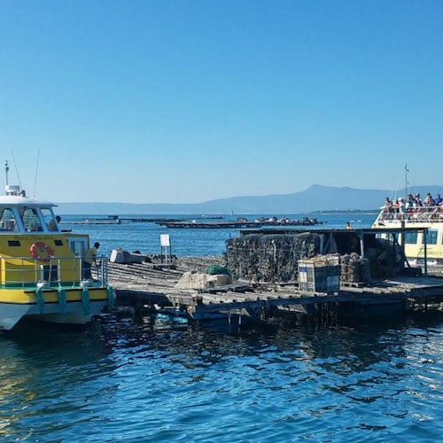 Crucero Rías Baixas: entradas para la Ruta de los Mejillones en O Grove