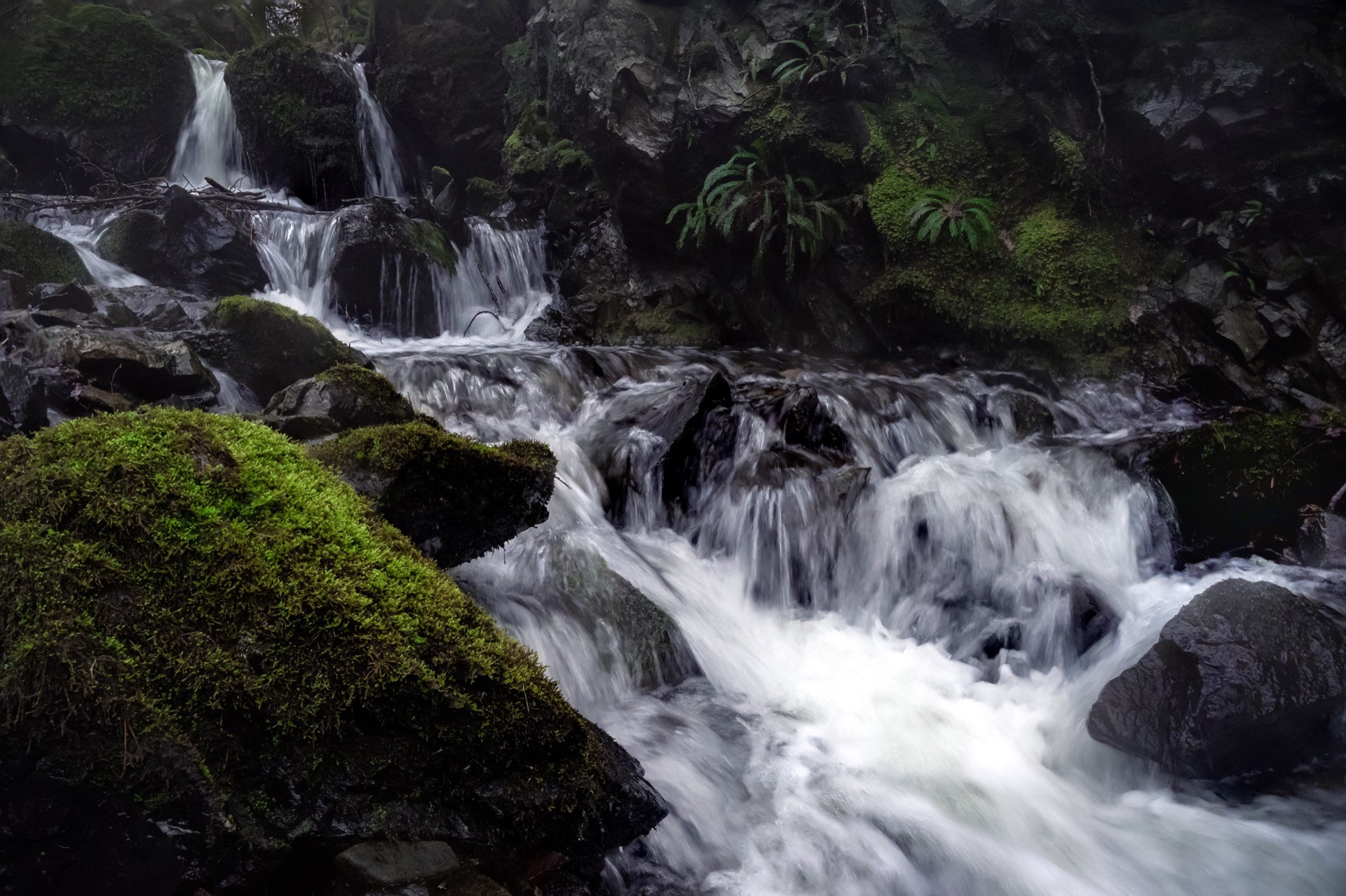 A low down, dark photograph of the brook waterfall at Tarn Hows. Luminous green moss coats a foreground rock and the water is blurred from a long exposure.