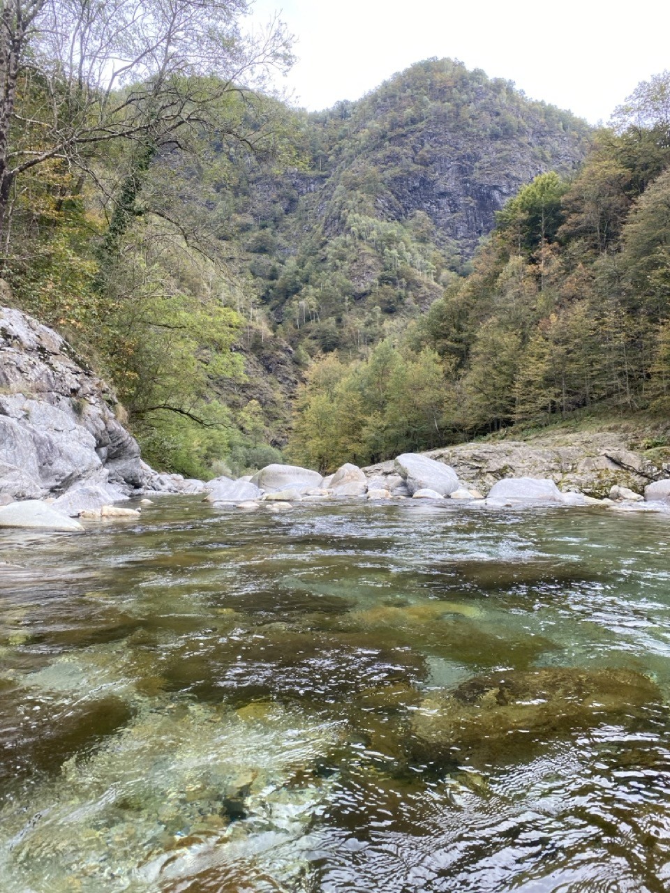 Reserve your fly fishing adventure on the Sesia River in northern Italy, near Milan. Target giant brown trout, marble trout, and grayling in scenic waters, with expert guides teaching advanced techniques—perfect for a rewarding fishing excursion