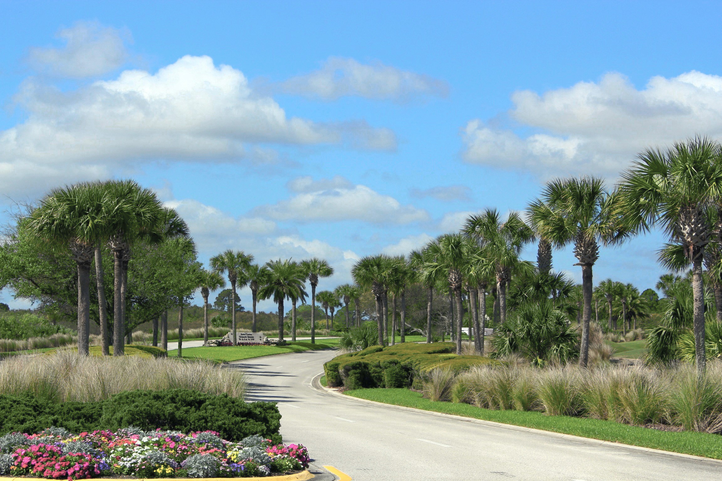 Palm Coast Lawn