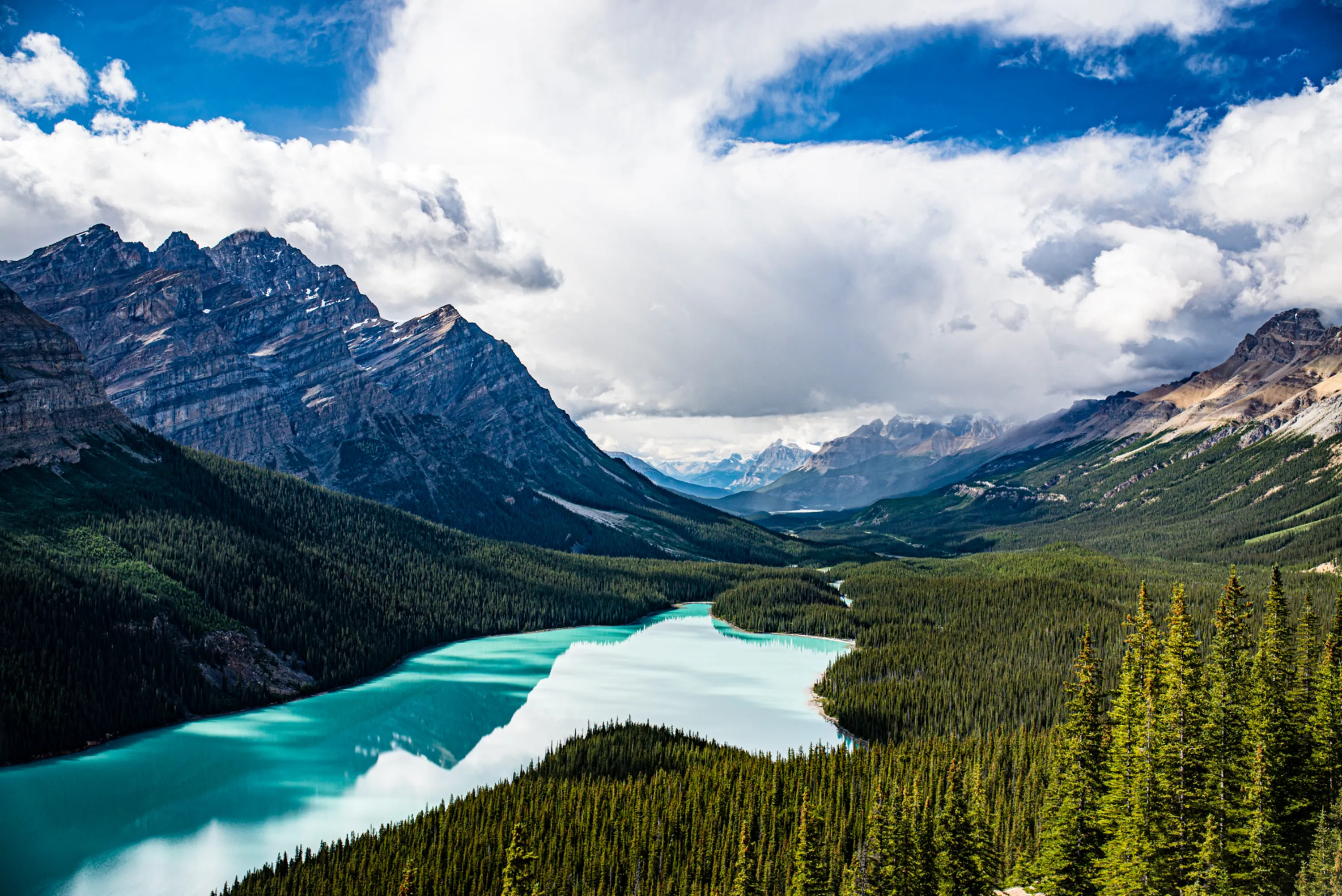 Wilderness & Wildlife 04