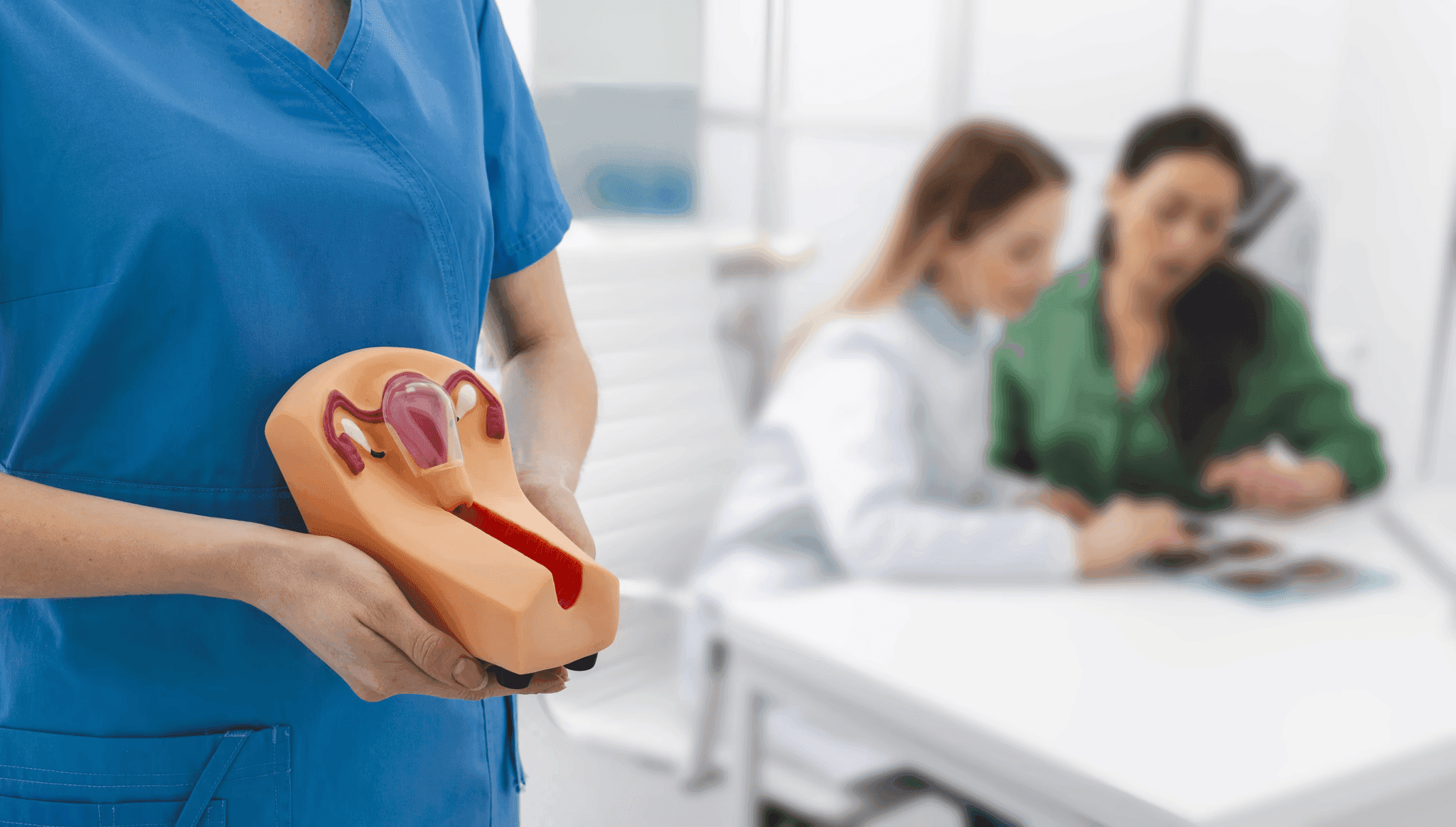 Nurse holding a female reproductive system model while discussing test results with a patient in a clinic.