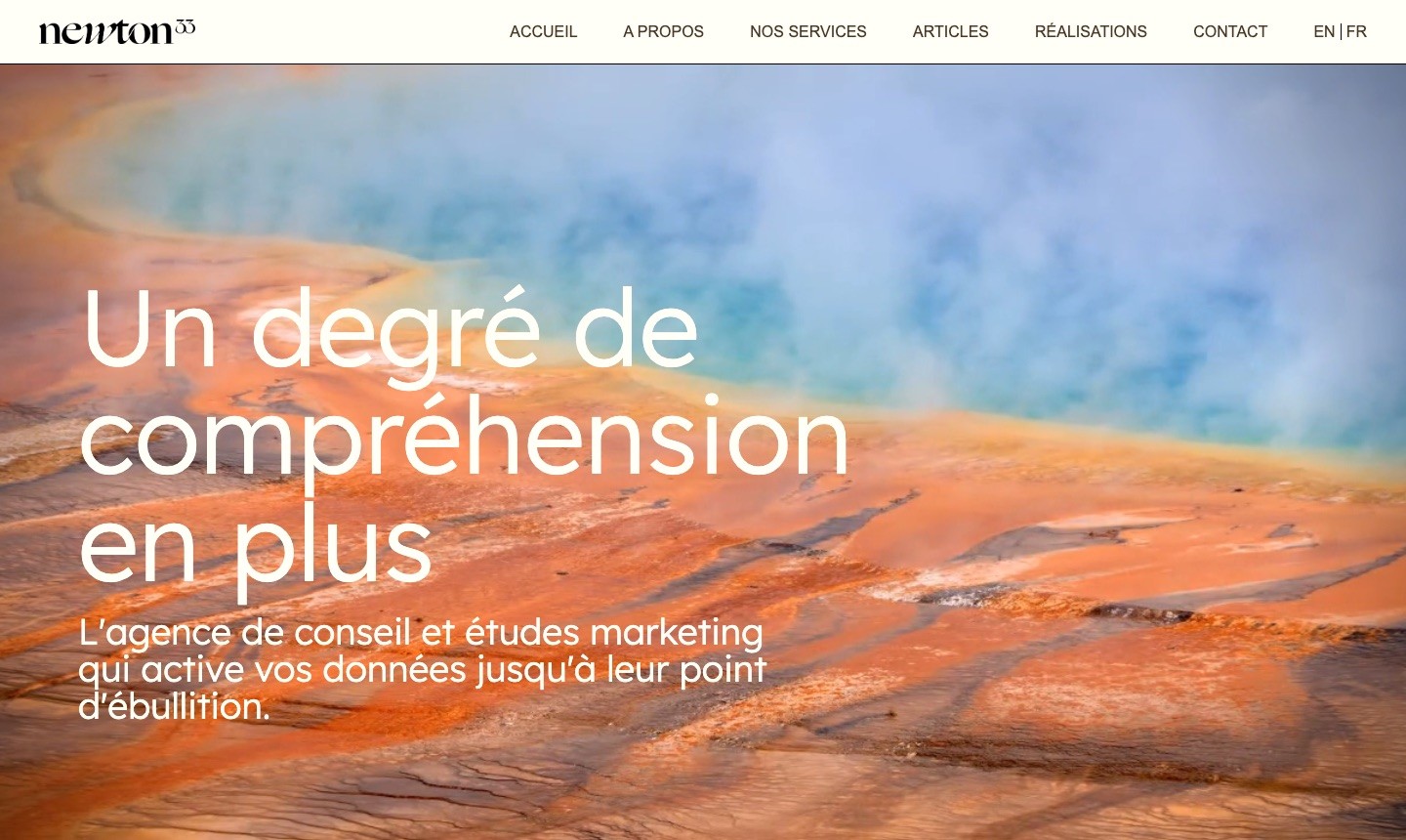 newton33 website, marketing research and consulting agency in Switzerland