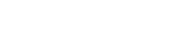 Synga