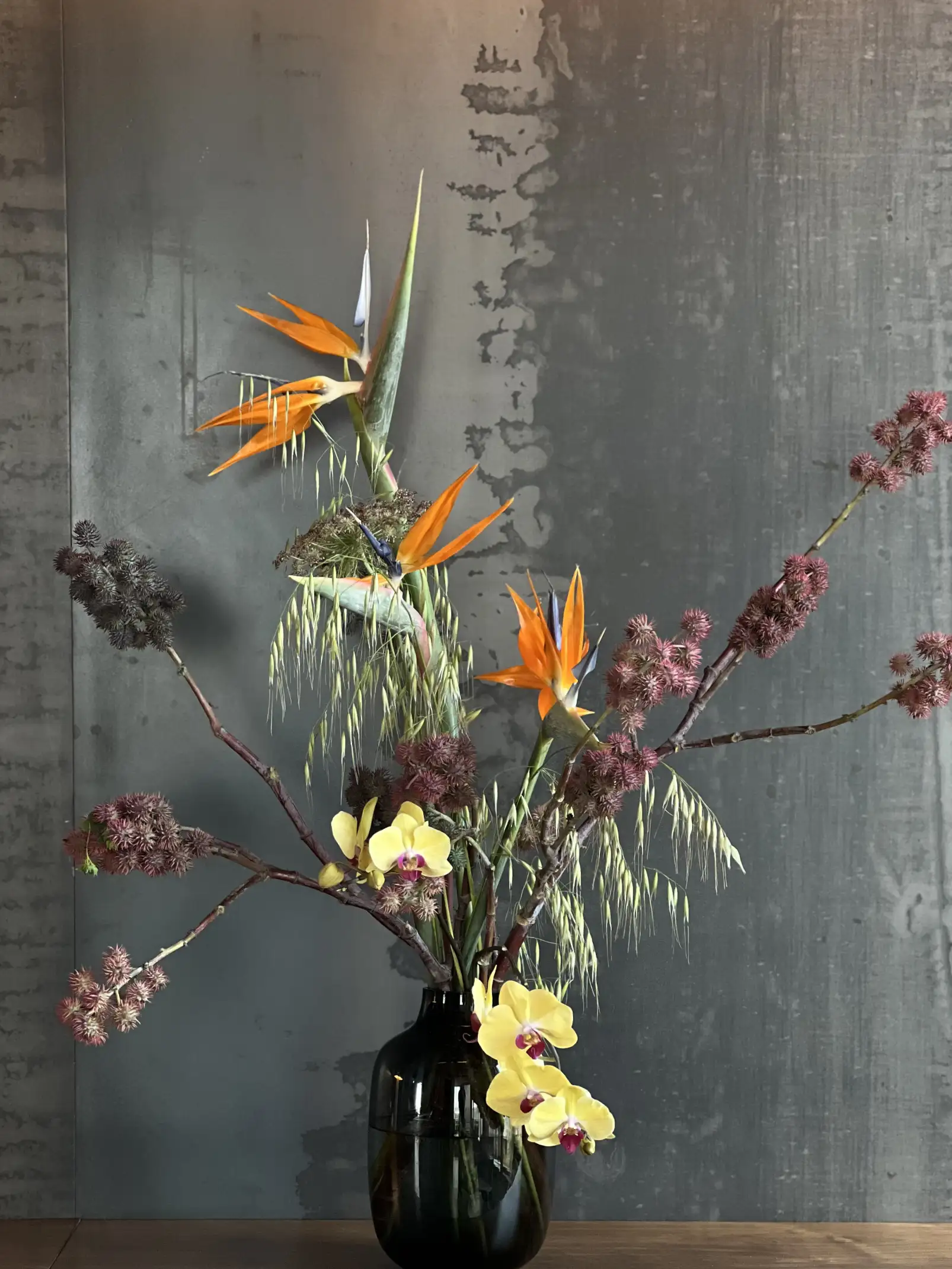 Arreglo floral con aves del paraíso y orquídeas amarillas en jarrón oscuro para interioristas que buscan impacto visual y modernidad natural.