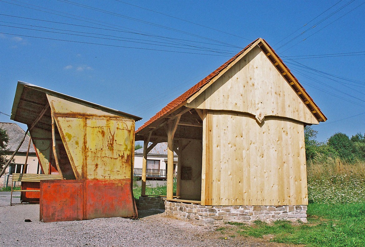 Close-up of lush, dark green leaves, some glossy and wet, against a muted background.