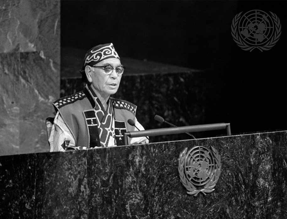 The Rise of Indigenous Rights Movements in Japan