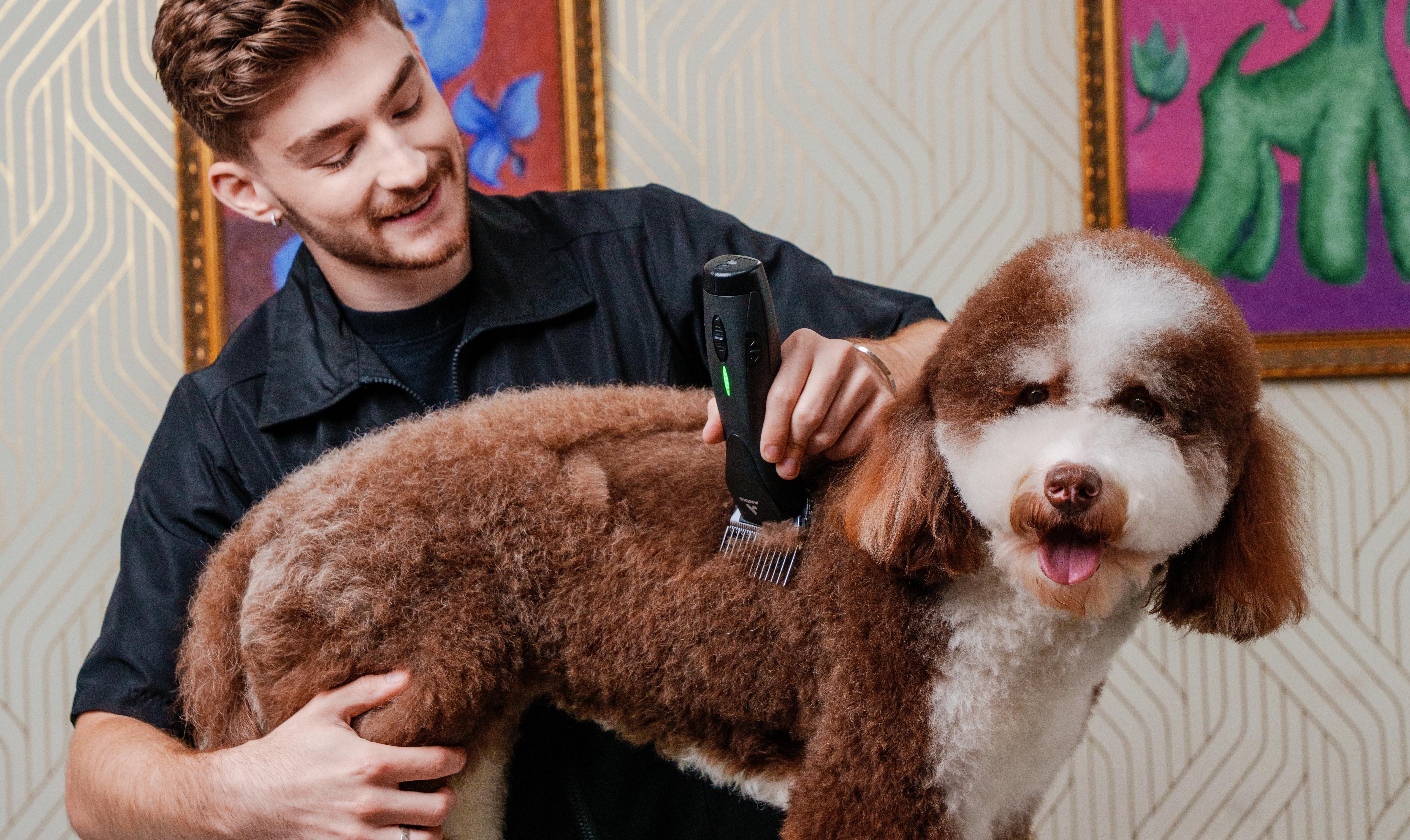 woman in white robe holding hair blower