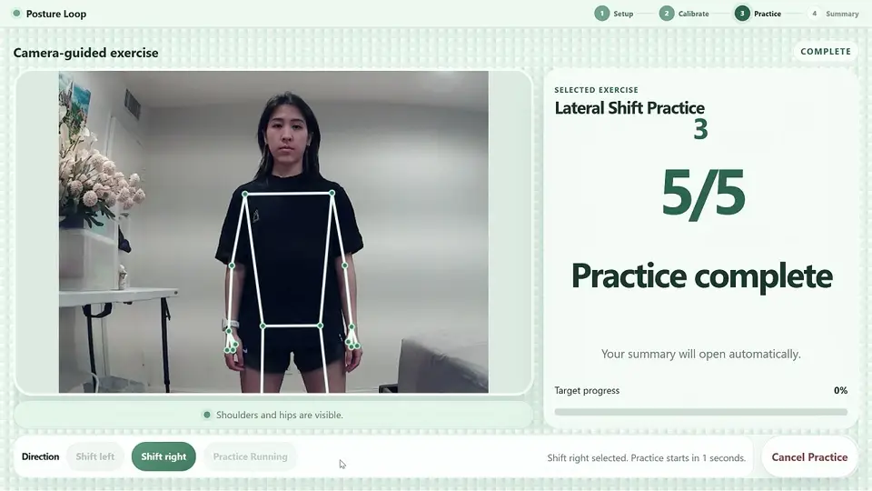 Summary clip