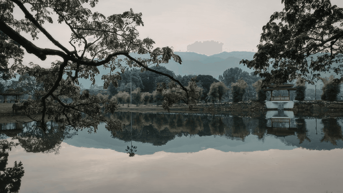 Older man in glasses sitting with laptop on coffee table, smiling while working.