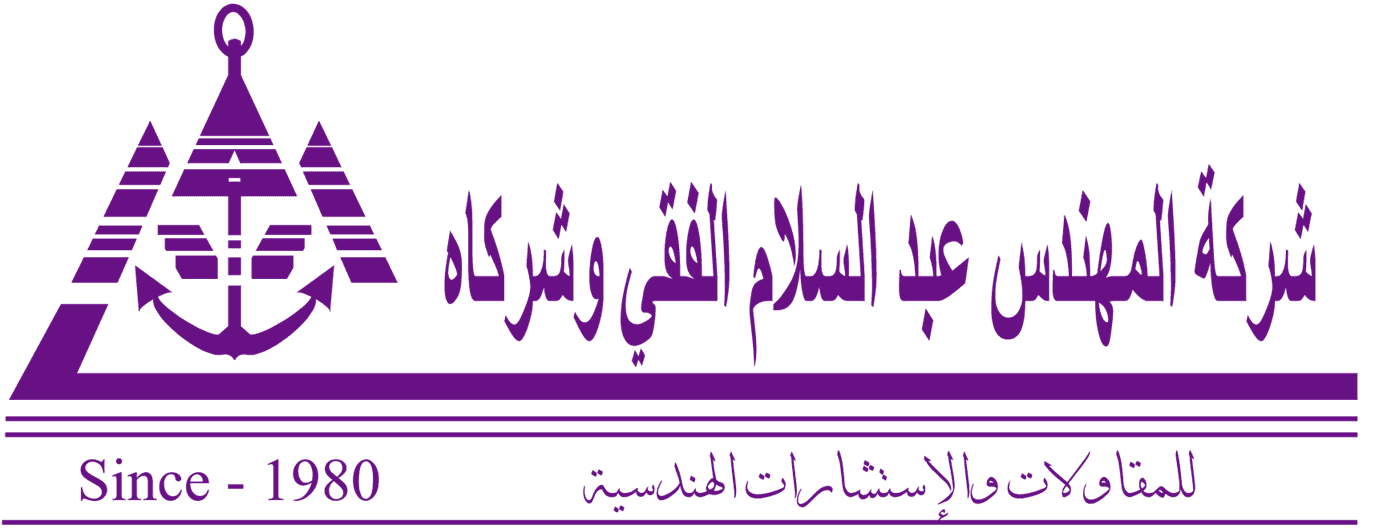 Abd Elsalam El Feky