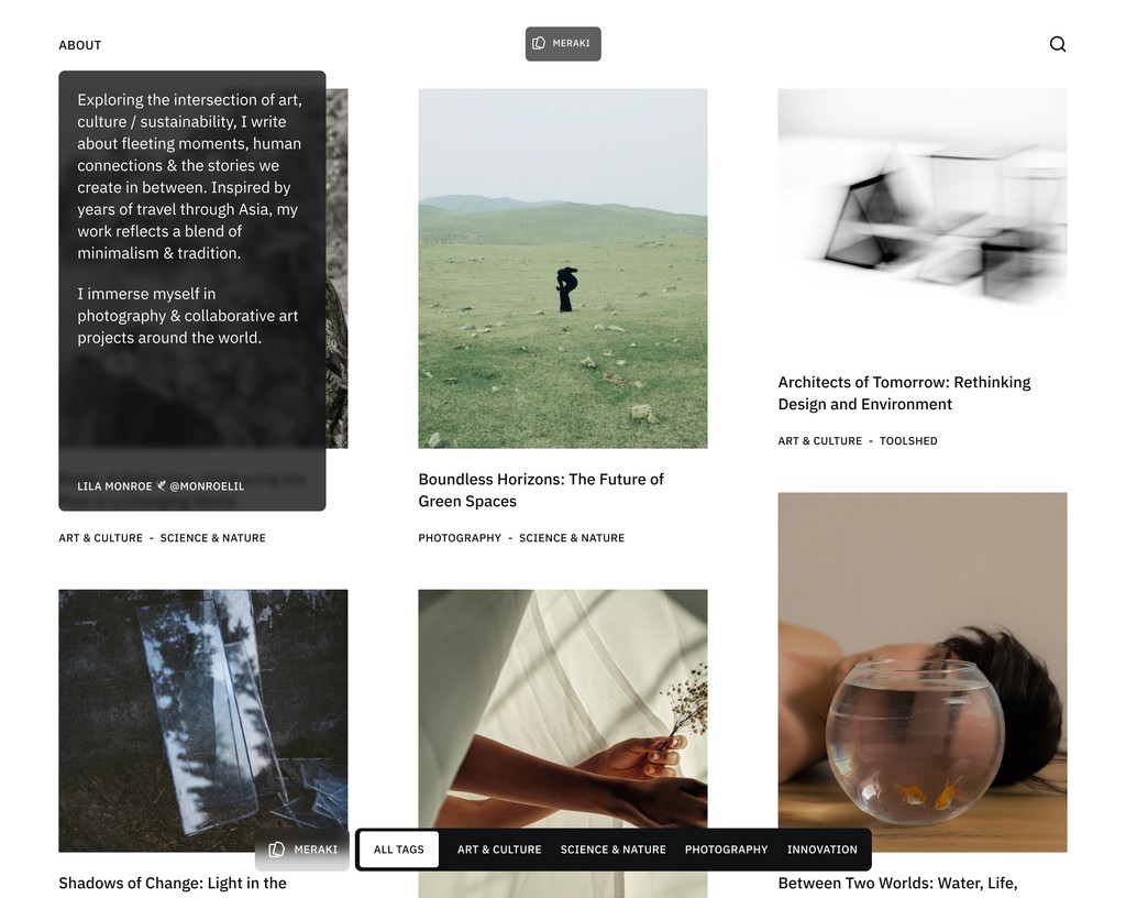portfolio photographer maxine studio website home
