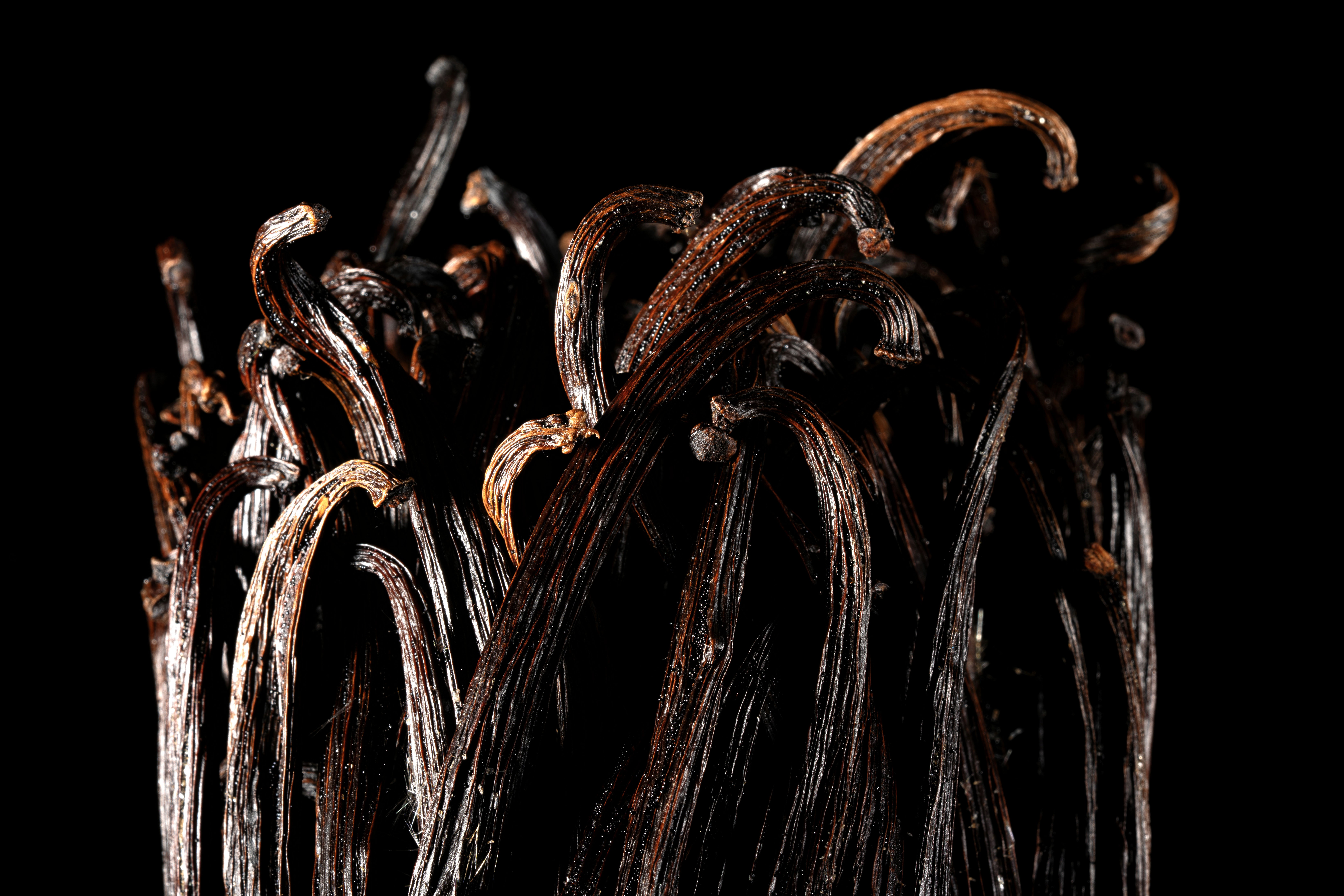 Culinaire, Food, Studio Photo, Pierretmae