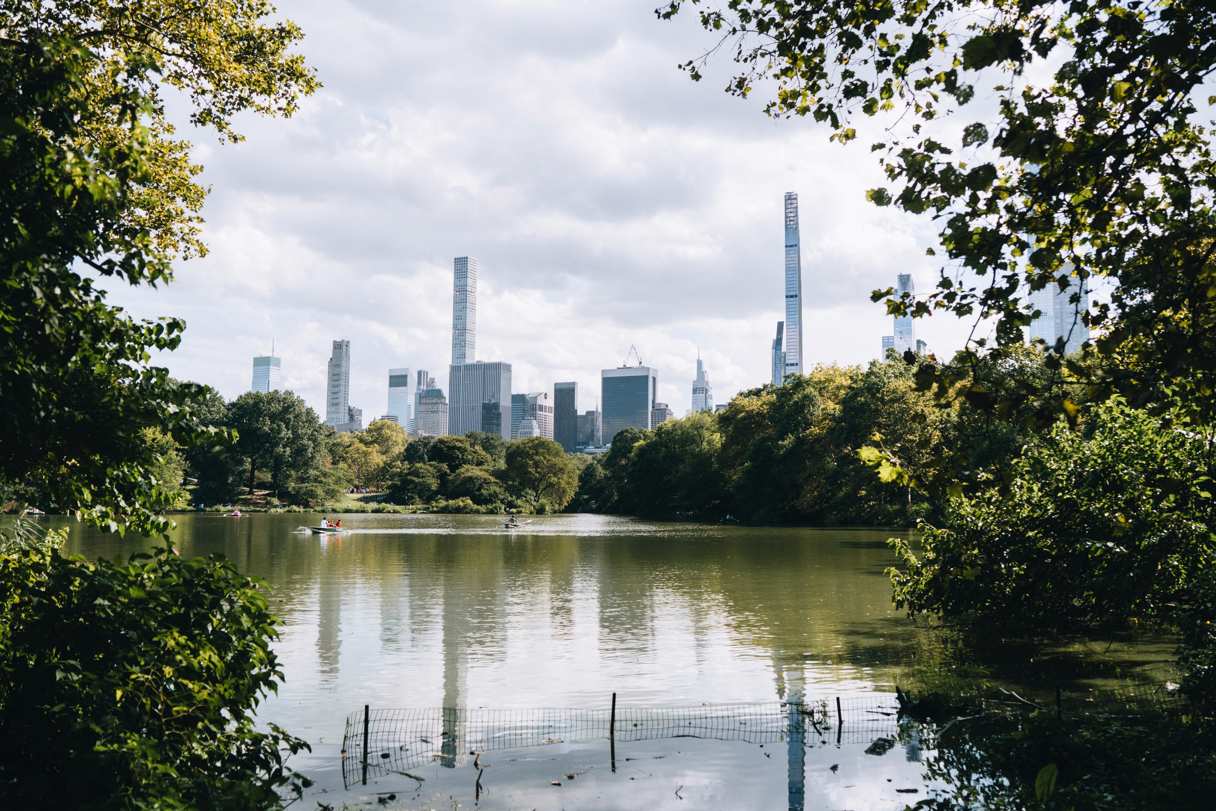 Water surrounded by trees and tall buildings