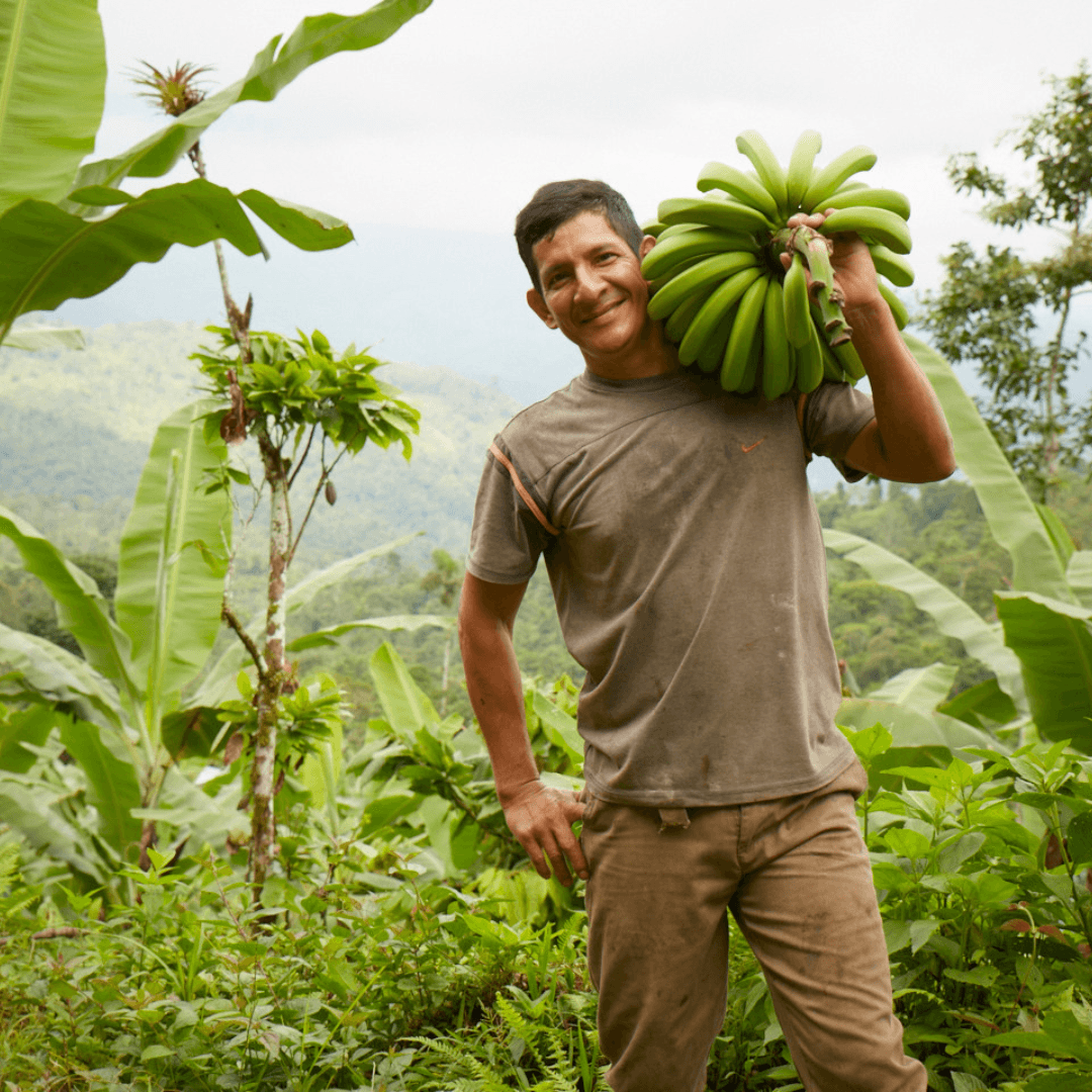four boys laughing and sitting on grass during daytime