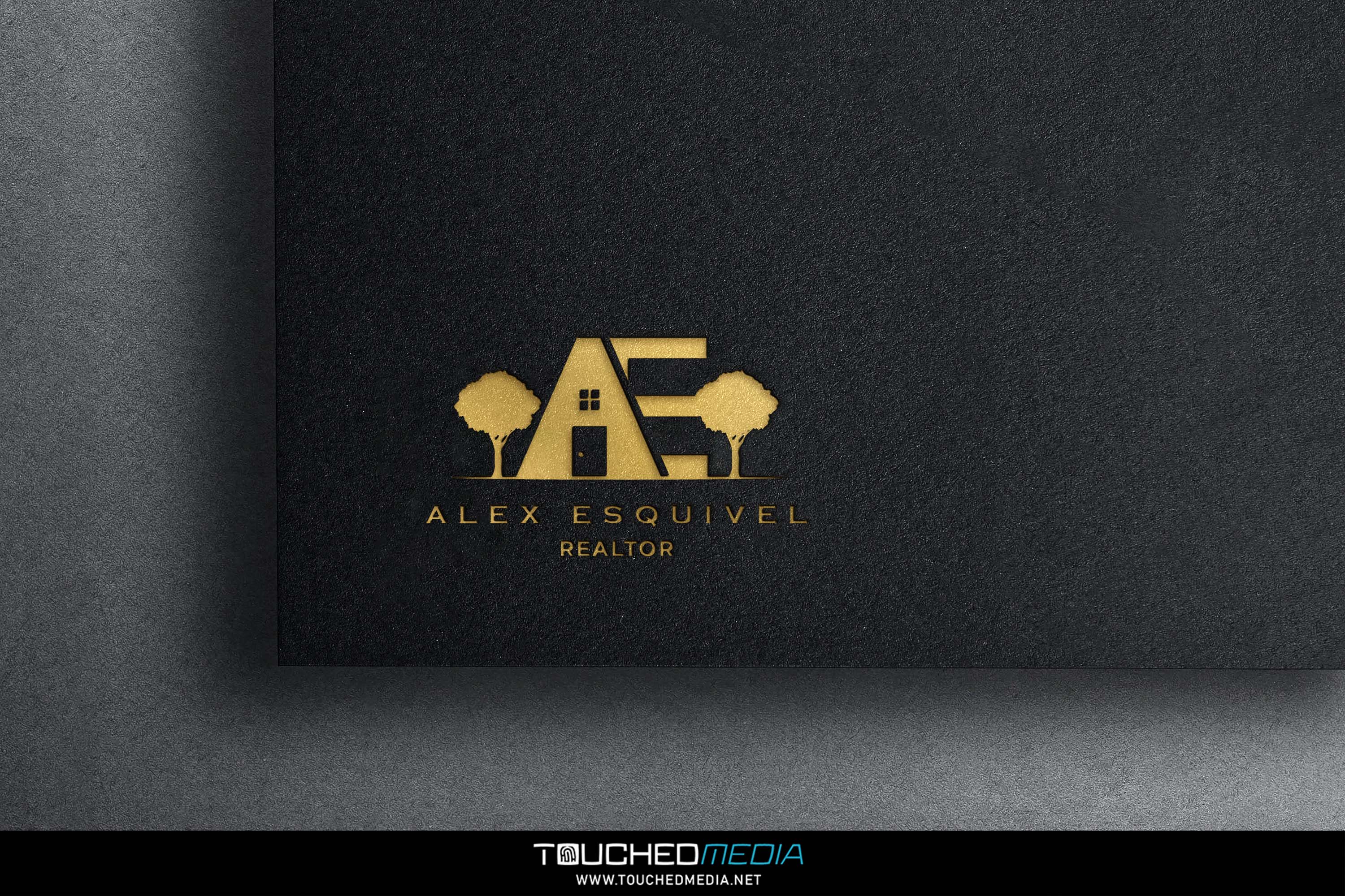 Alex Esquivel - Realtor Logo Design