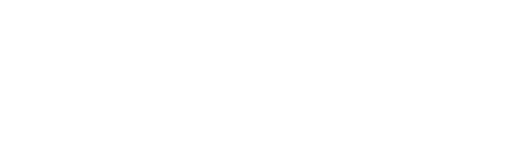 Partner tecnico NILS Suzuki Valenti