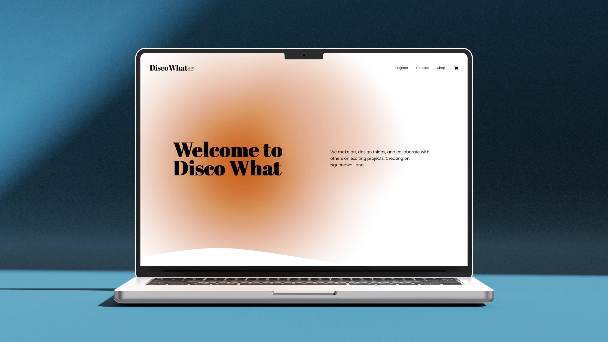 Disco What website on a laptop.