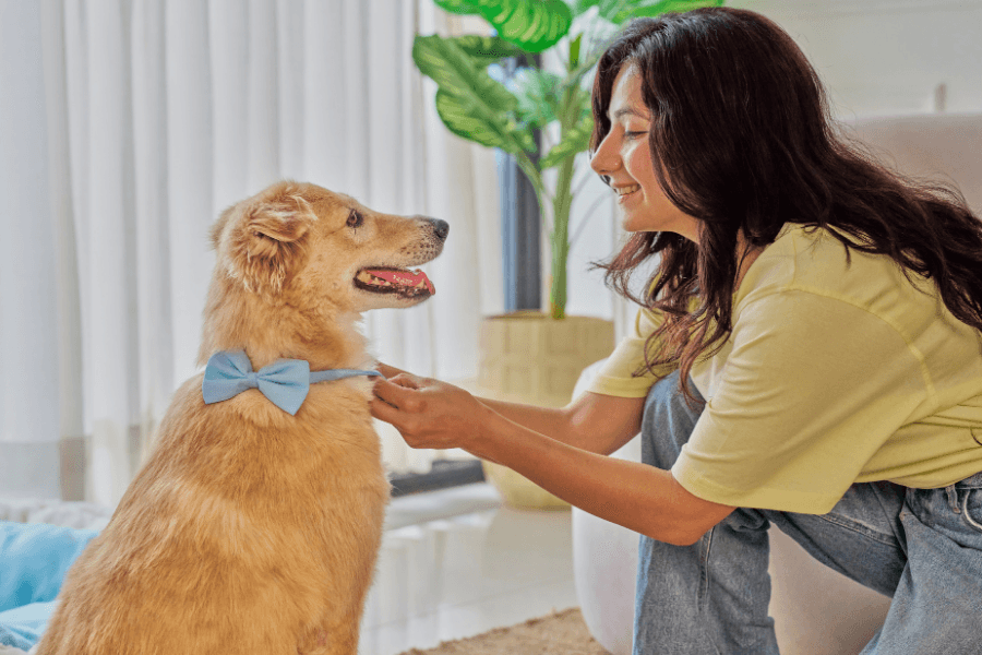 Tenant with dog in a pet-friendly rental apartment in the Southern Suburbs.