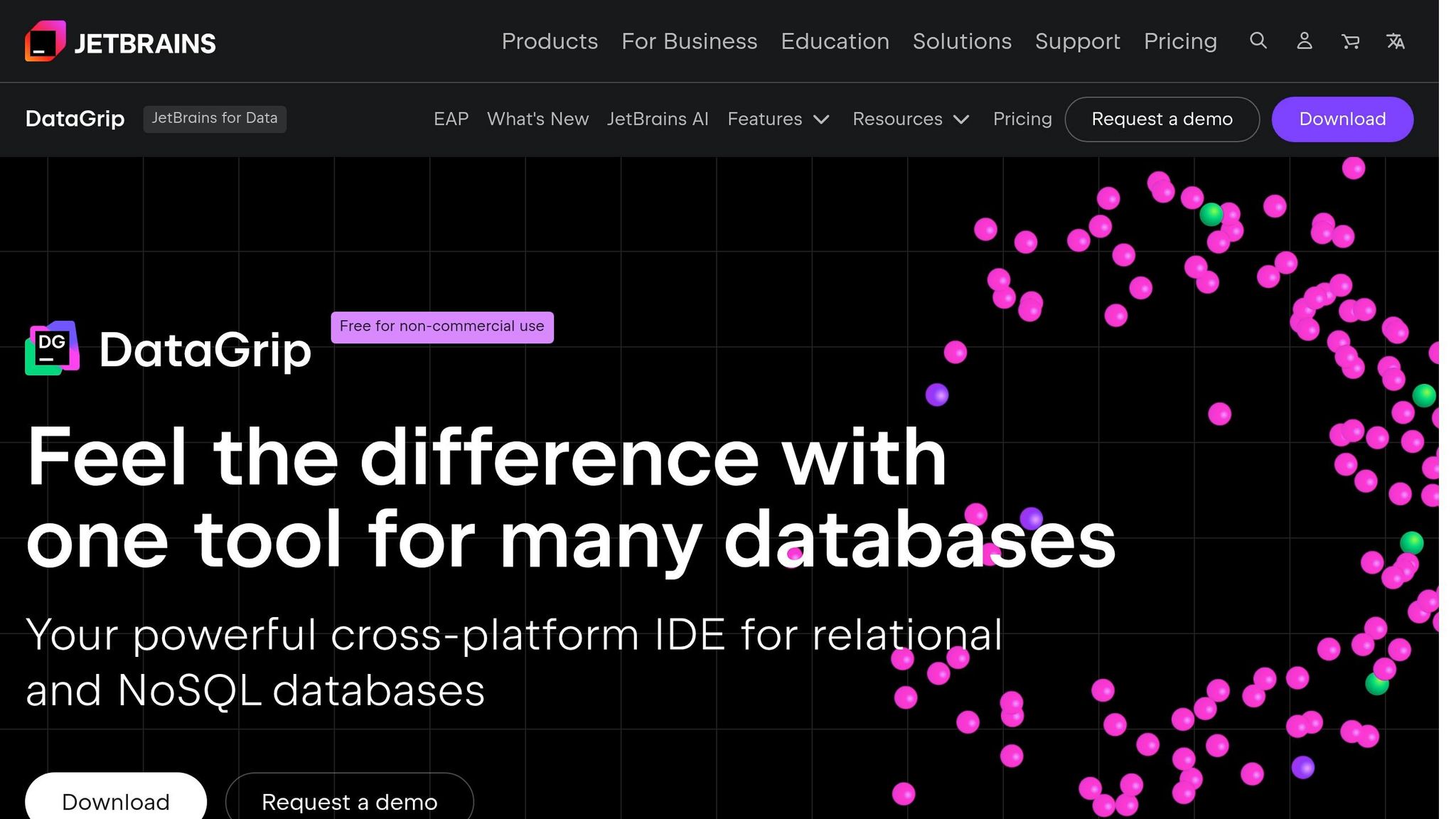 DataGrip