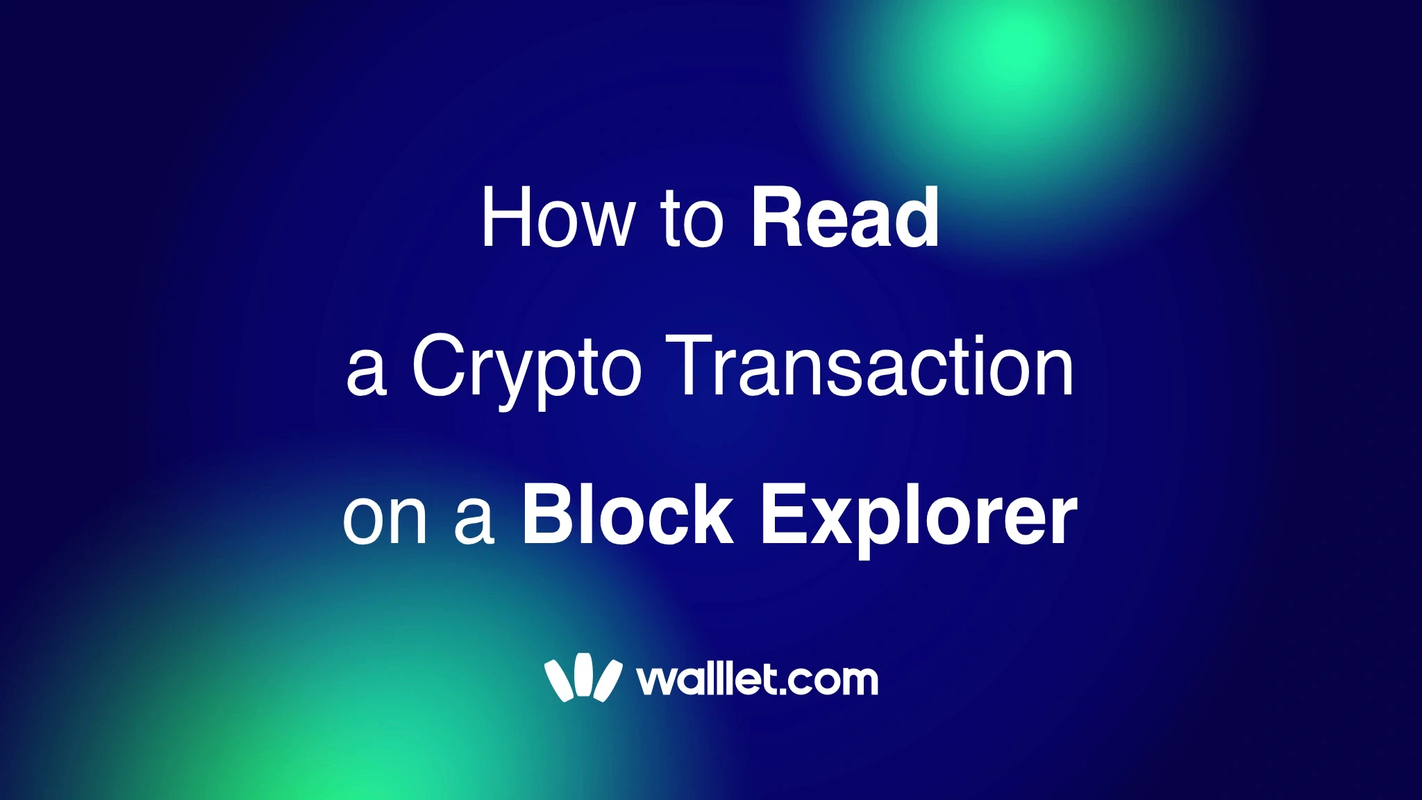How to Read a Crypto Transaction on a Block Explorer