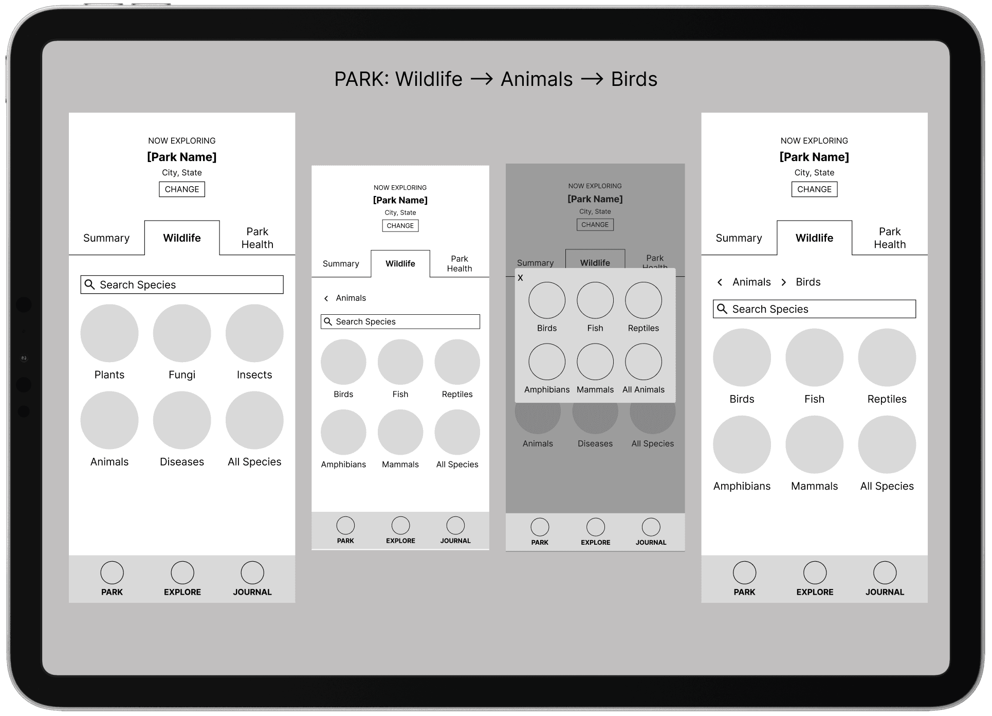 mid-fi wireframes of user flow to narrow down wildlife search