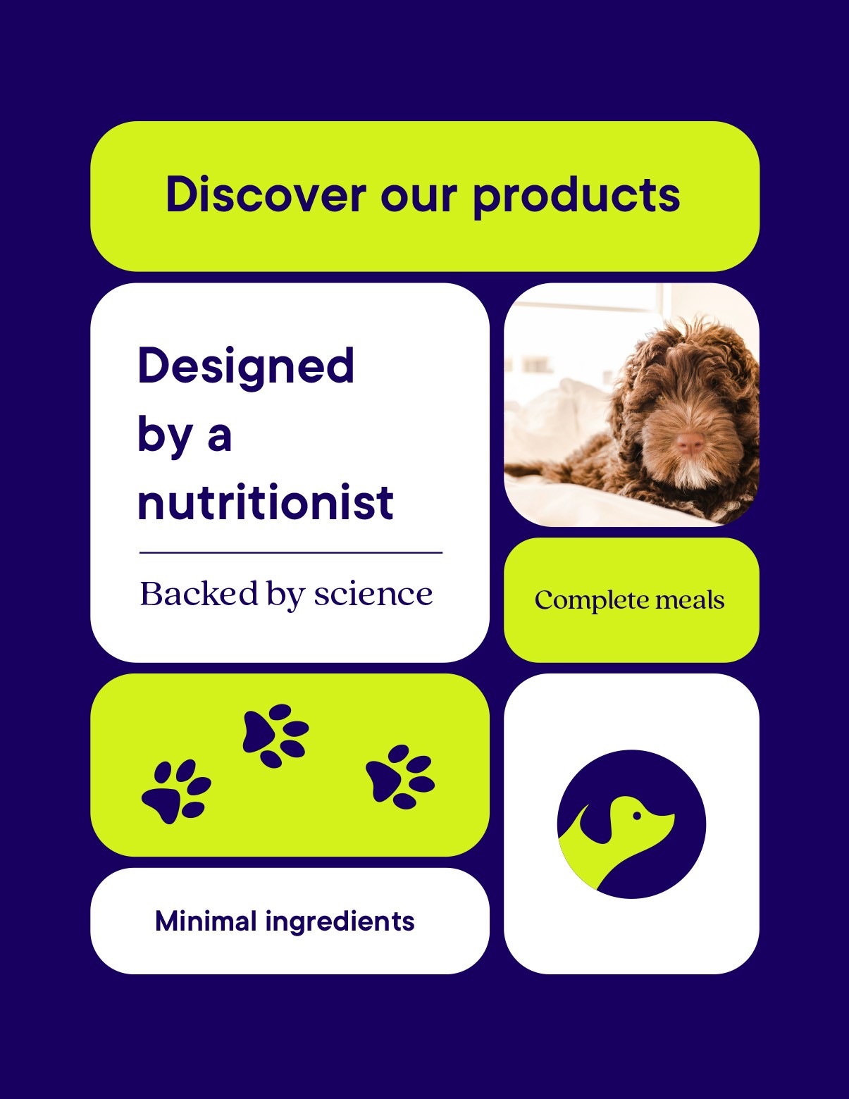 pet brand social media post