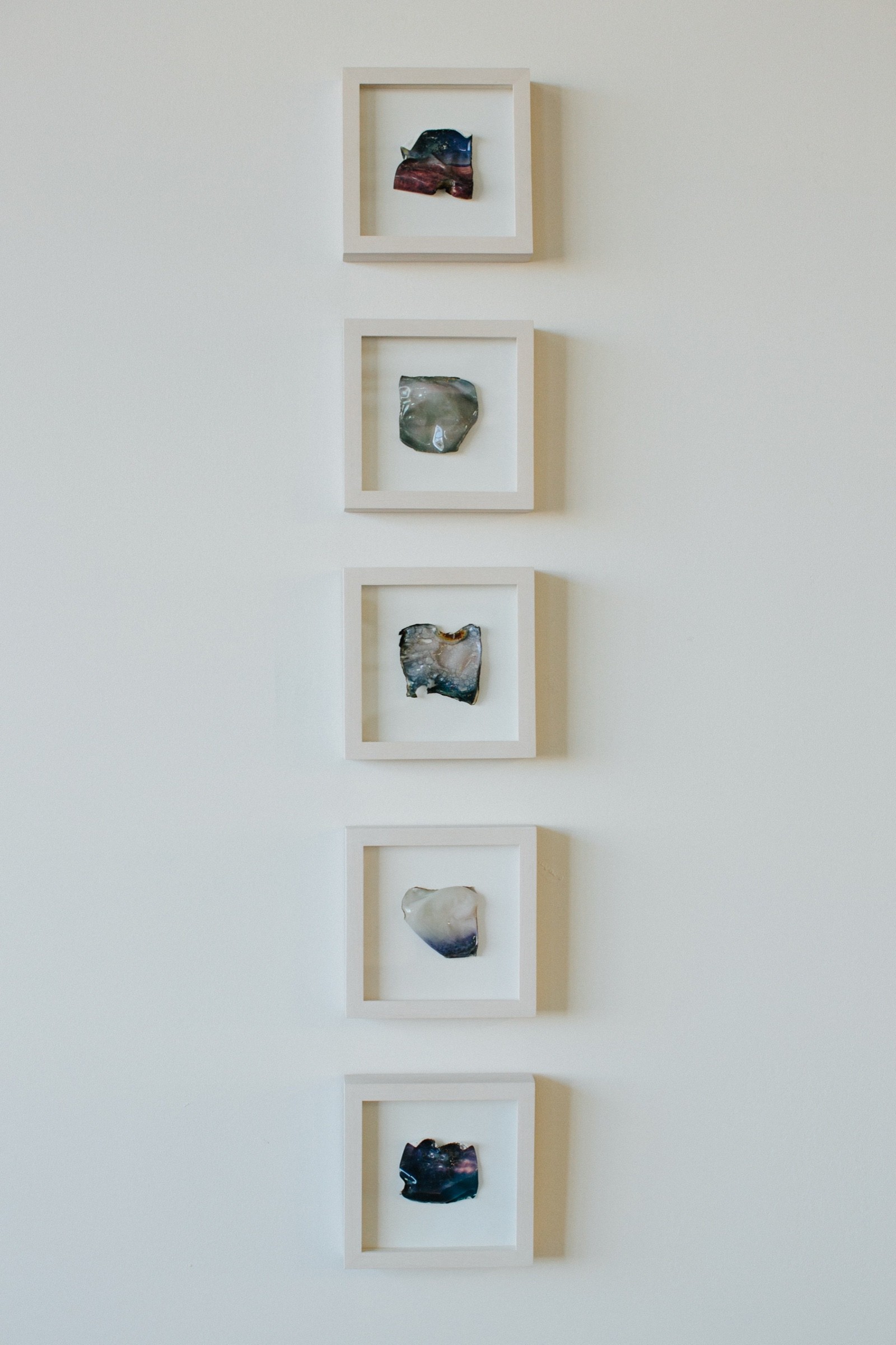 Photograph by Jacquelyne Pierson