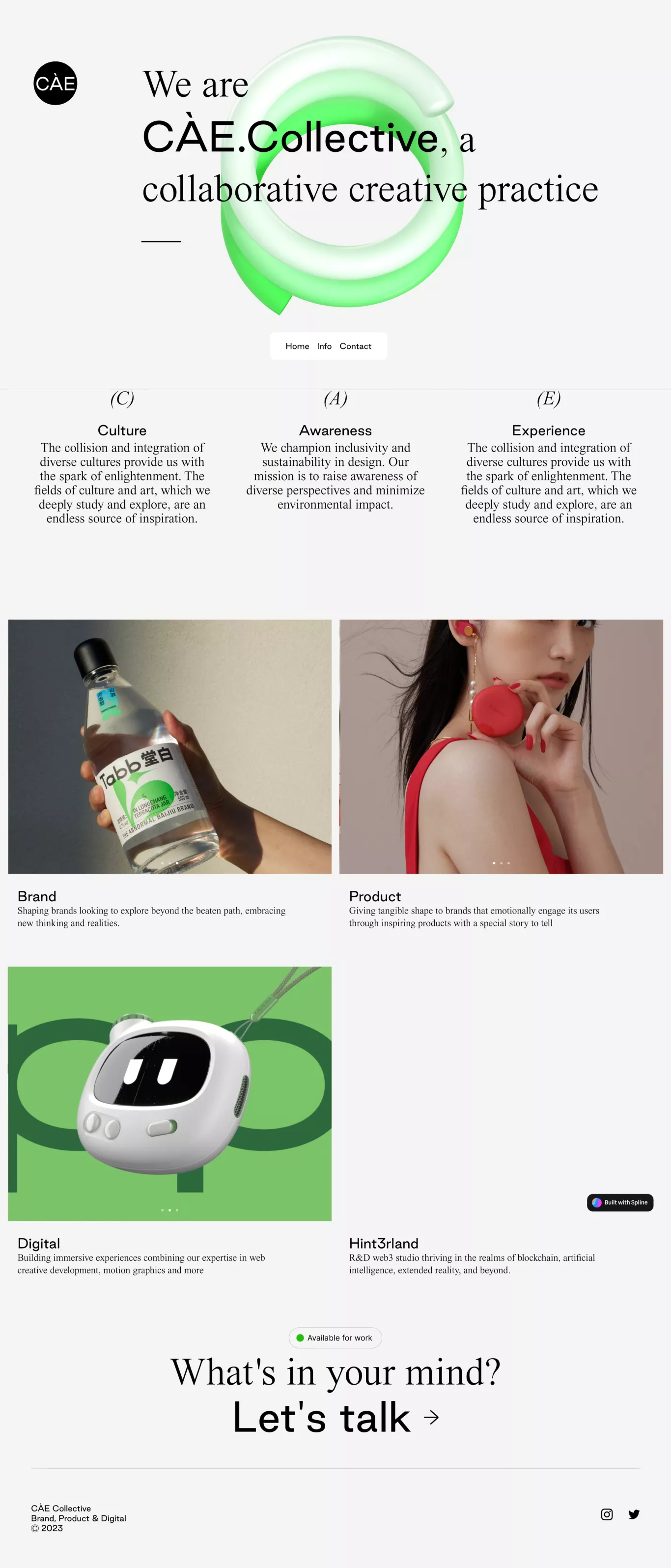 CÃE Collective portfolio page screenshot showcasing Design and Tech design