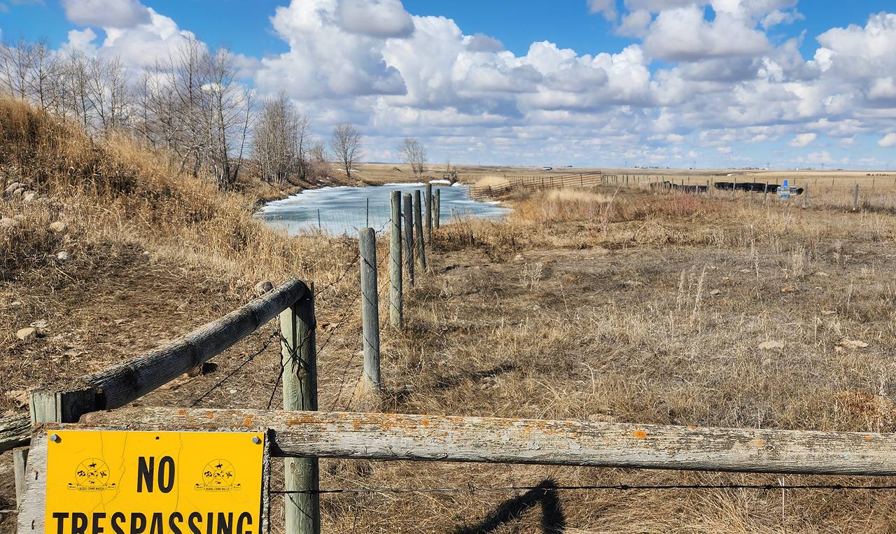 Existing disturbed gravel pit and pond at Rocky Ridge Farms site requiring reclamation near Irricana