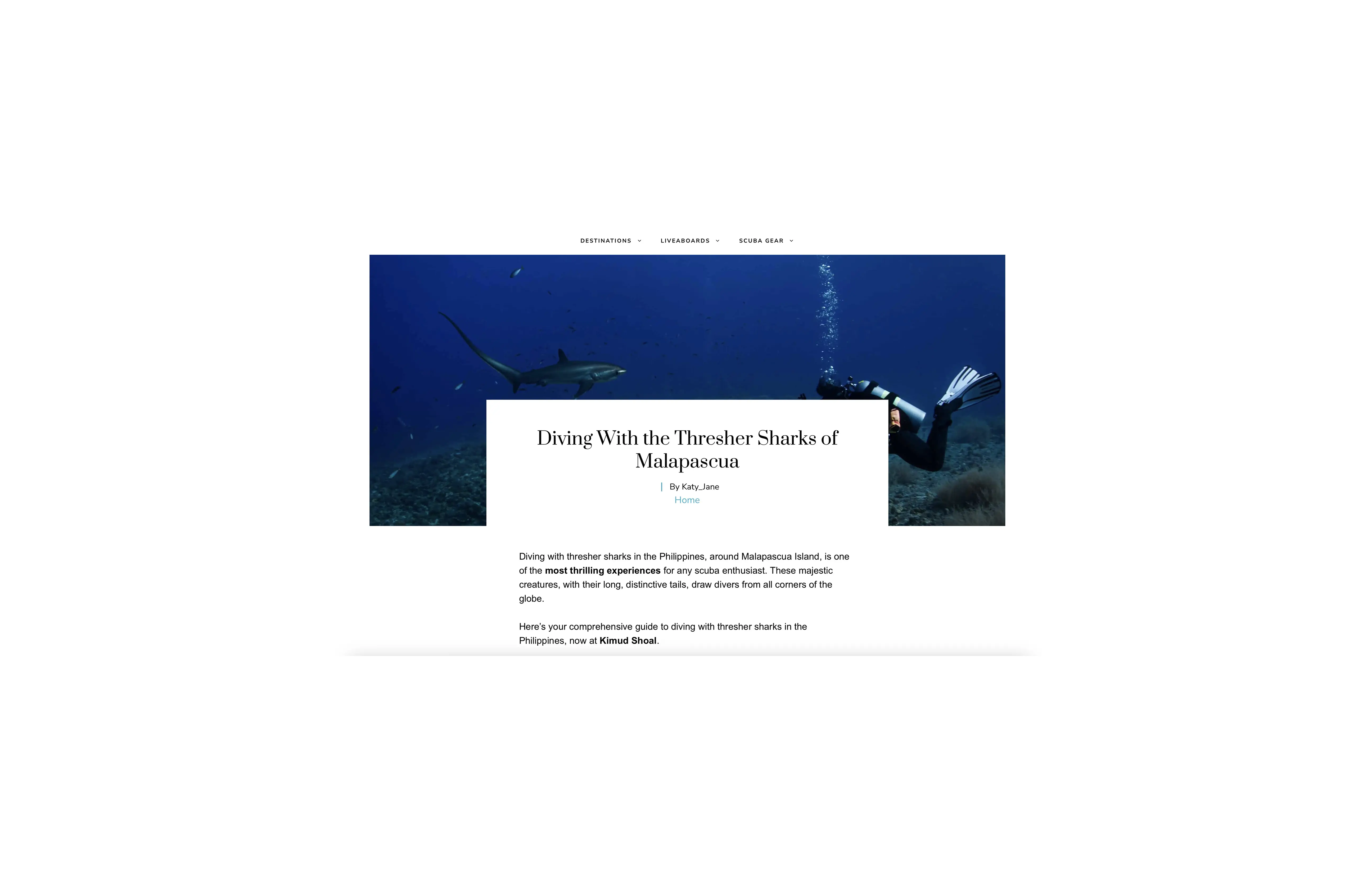 Thresher shark and scuba diver at Malapascua Island, Philippines — fifth cheapest dive destination in the global satoshi ranking at 163,440 sats per day