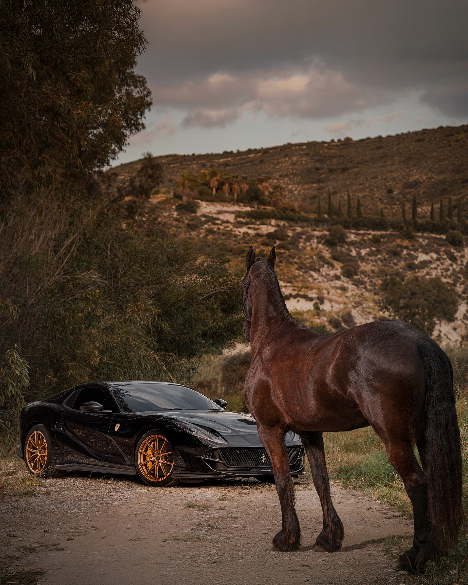 Black Ferrari 812 Superfast with bronze wheels and yellow brake calipers parked on a dirt path, a dark bay horse standing in the foreground facing the scrubland hills and cypress trees beyond, under an overcast sky.