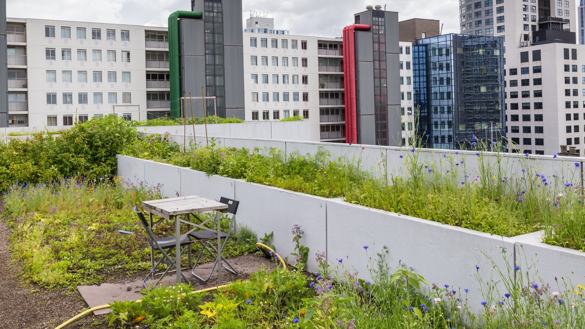 Construcción terraza verde