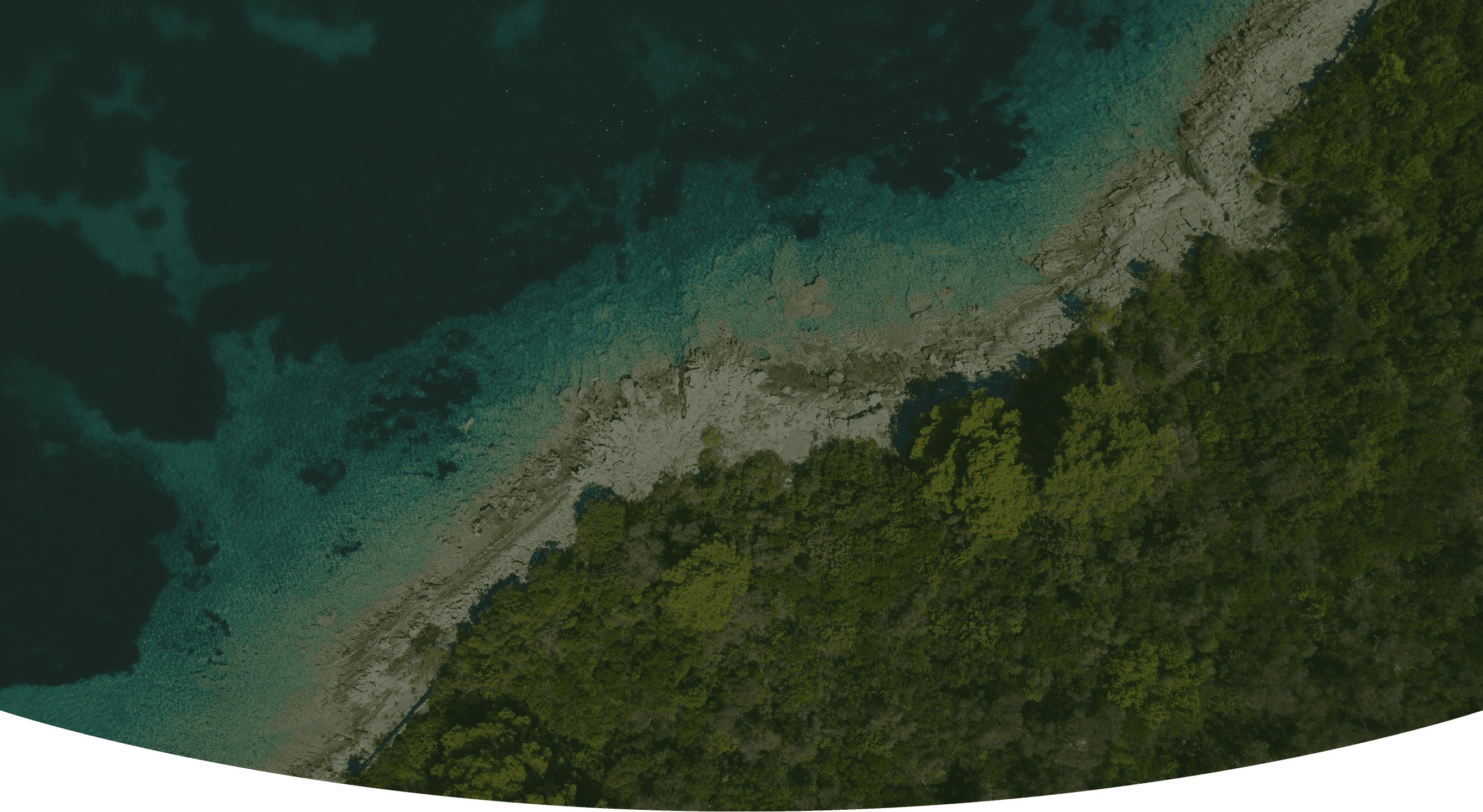 mountain near green trees at night