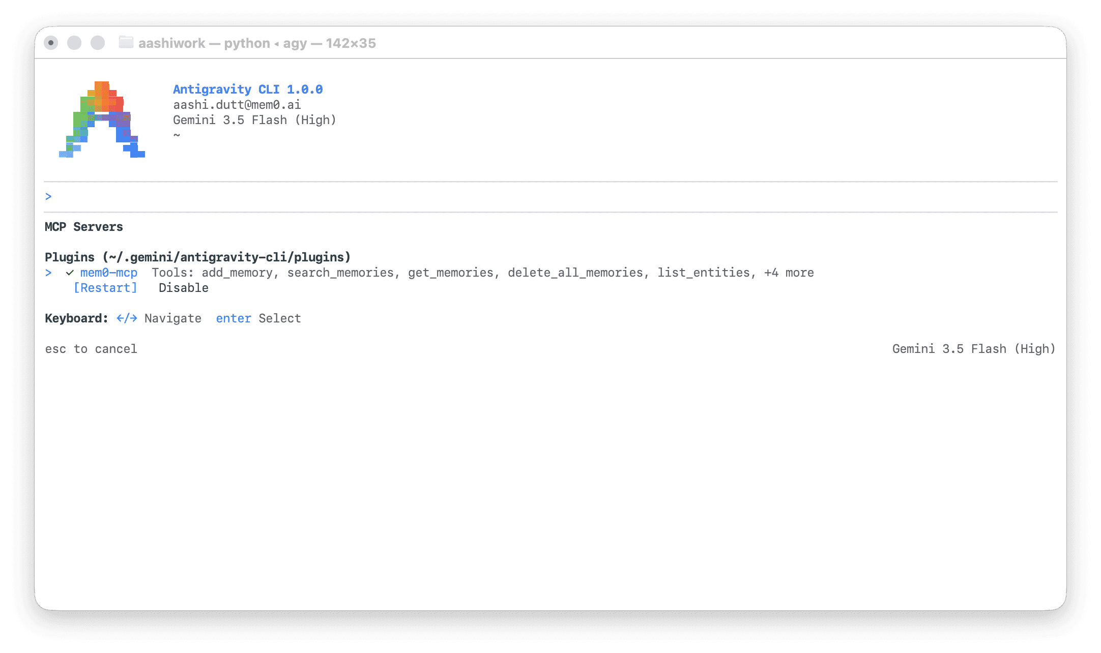 Setting Mem0-MCP