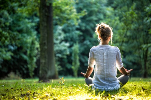 Person sitting cross-legged on the grass in a park, facing away.