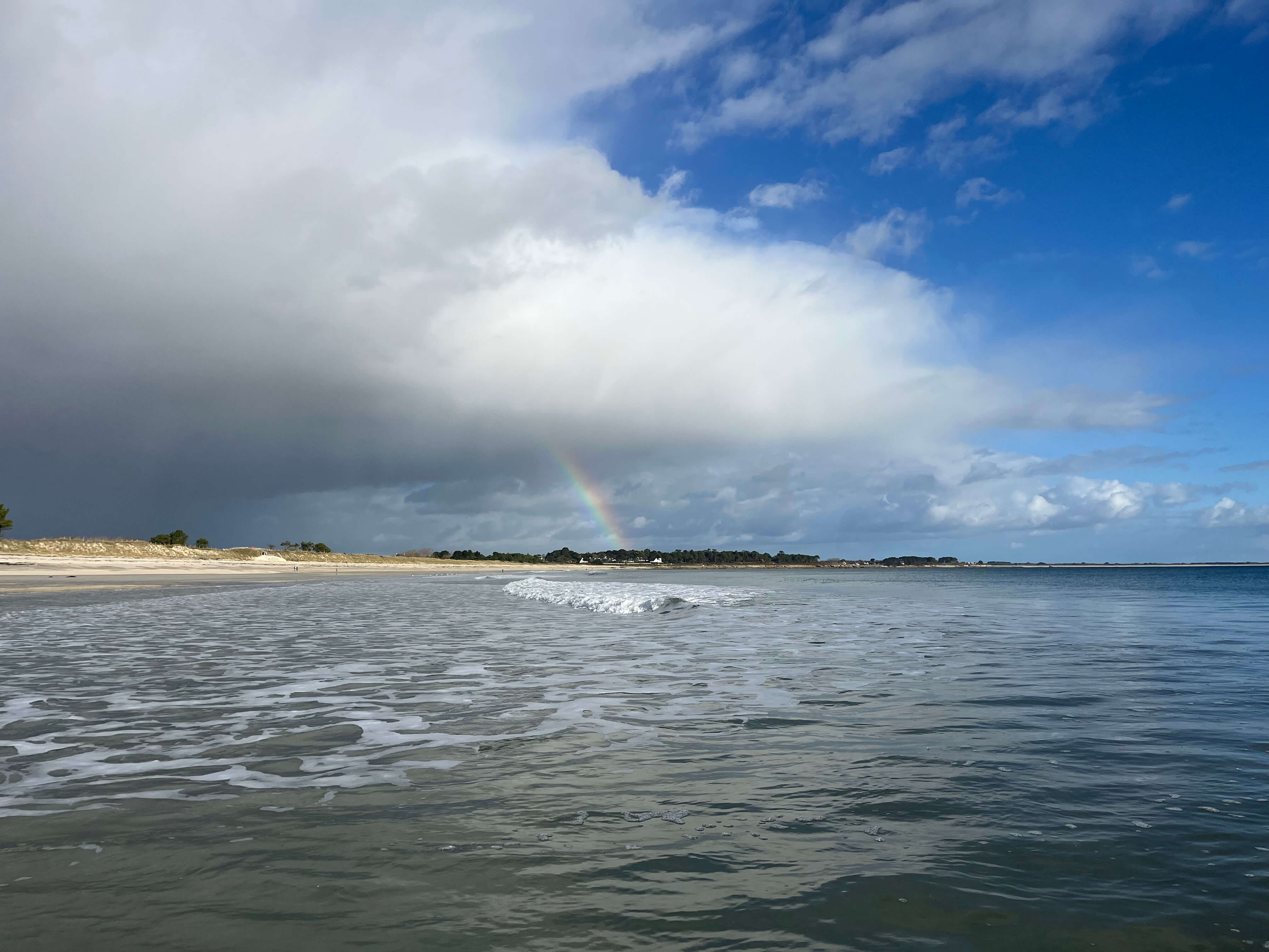 Seabass hunt fly fishing Brittany France