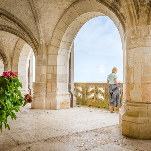 Château Royal d'Amboise / Promenade des gardes
