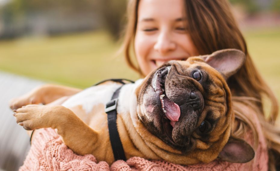 Mercado pet: uma relação essencial entre marcas e famílias