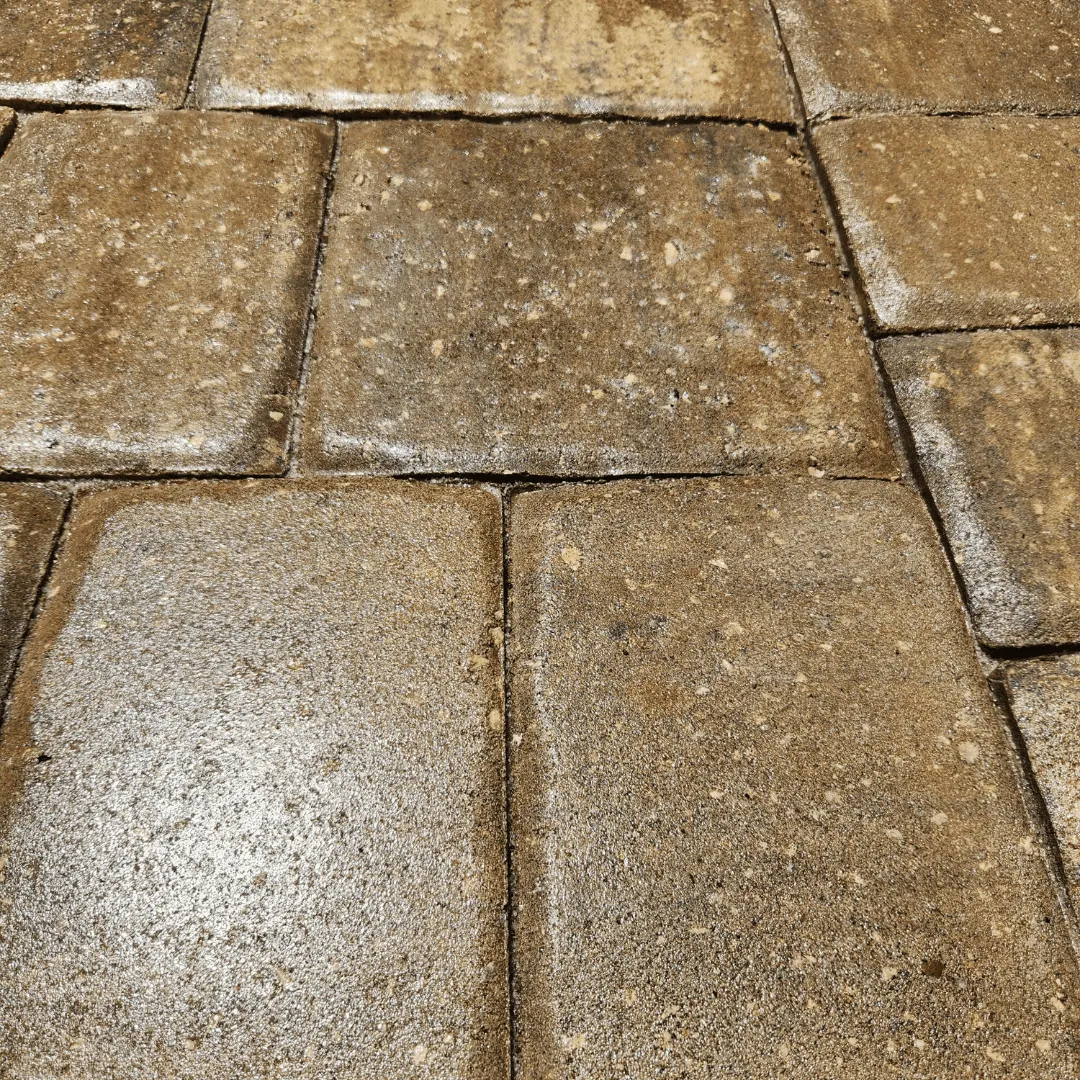Sealed pavers in Daytona Beach, FL