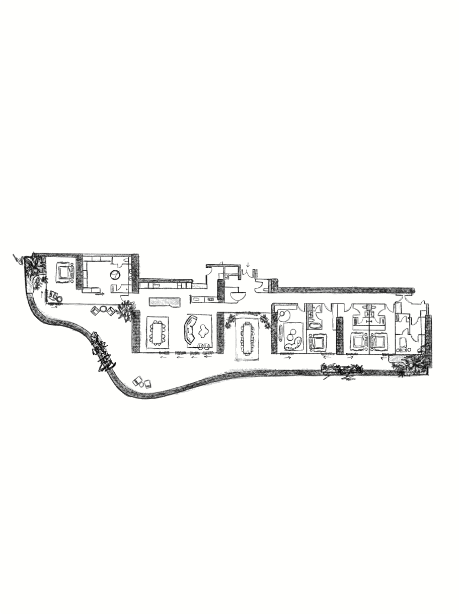Dom Pérignon vineyards from the sky