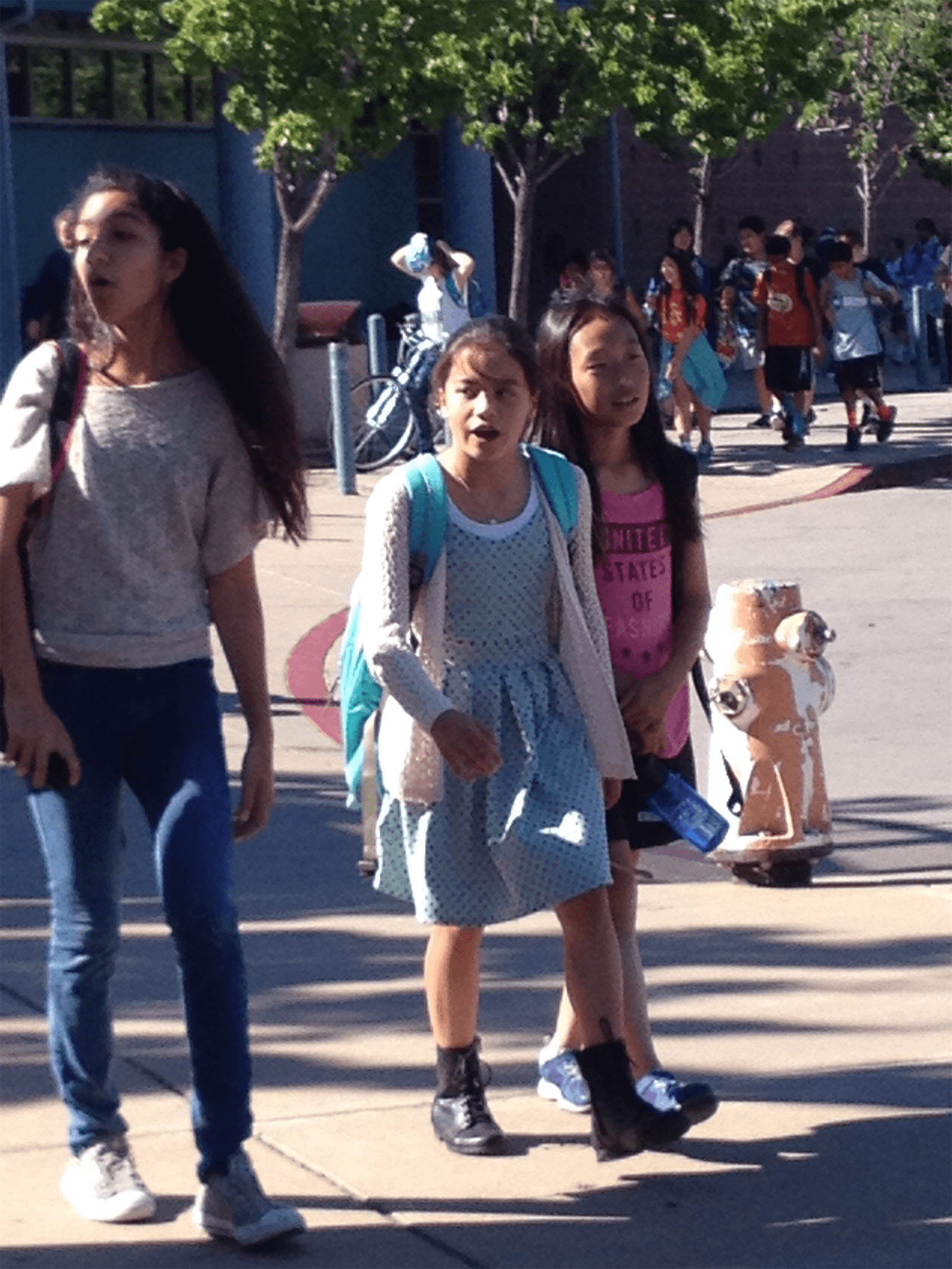 my ugly ahh middle school days (me in pink). sorry for ruining your eyes.