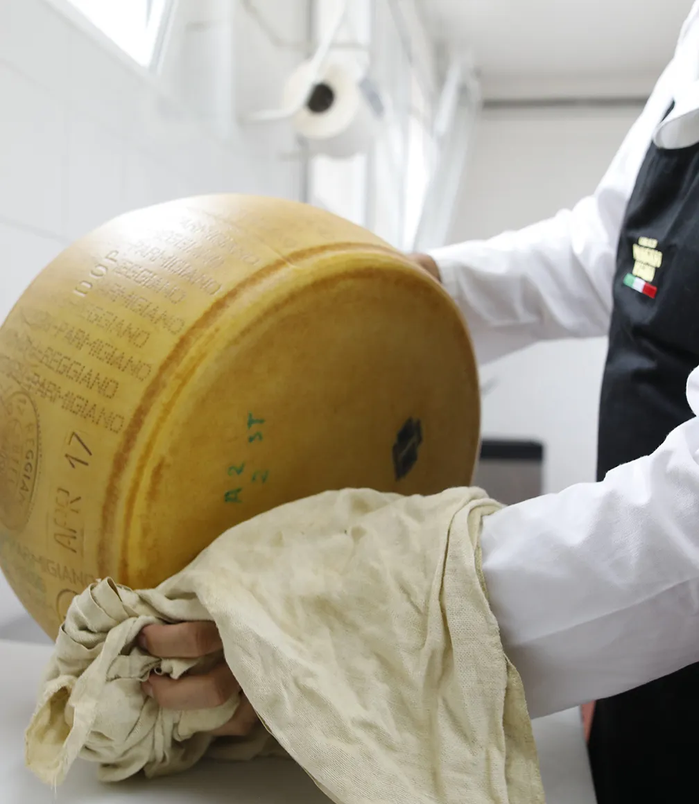 Gusto Emilia Italian gourmet food product highlighting Amazon sales performance and international marketplace growth