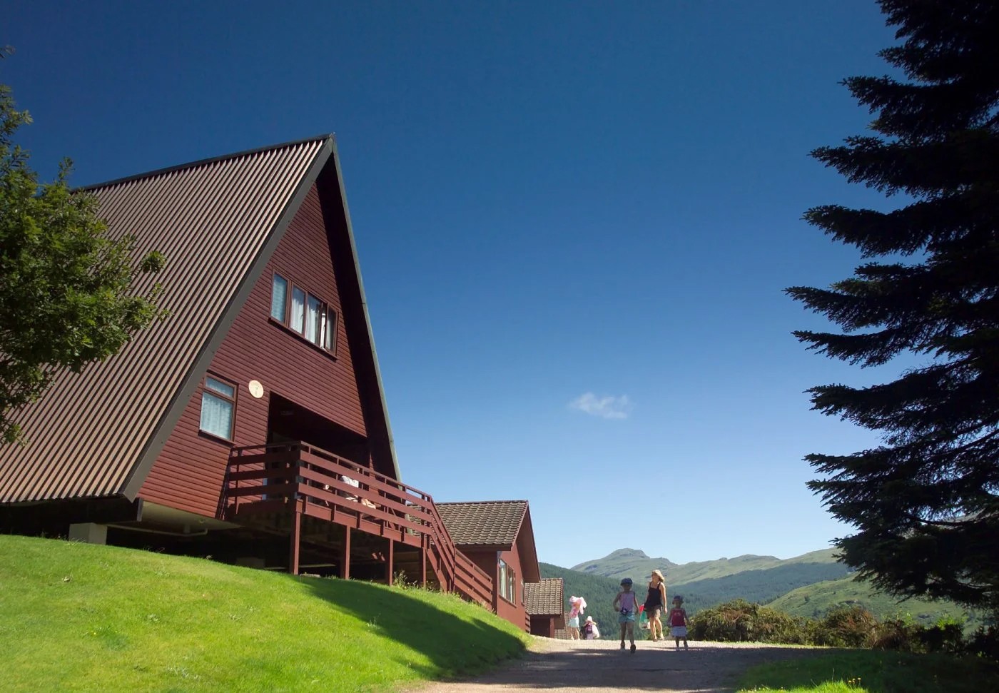 Dynamic picture of a cyclist riding downhill